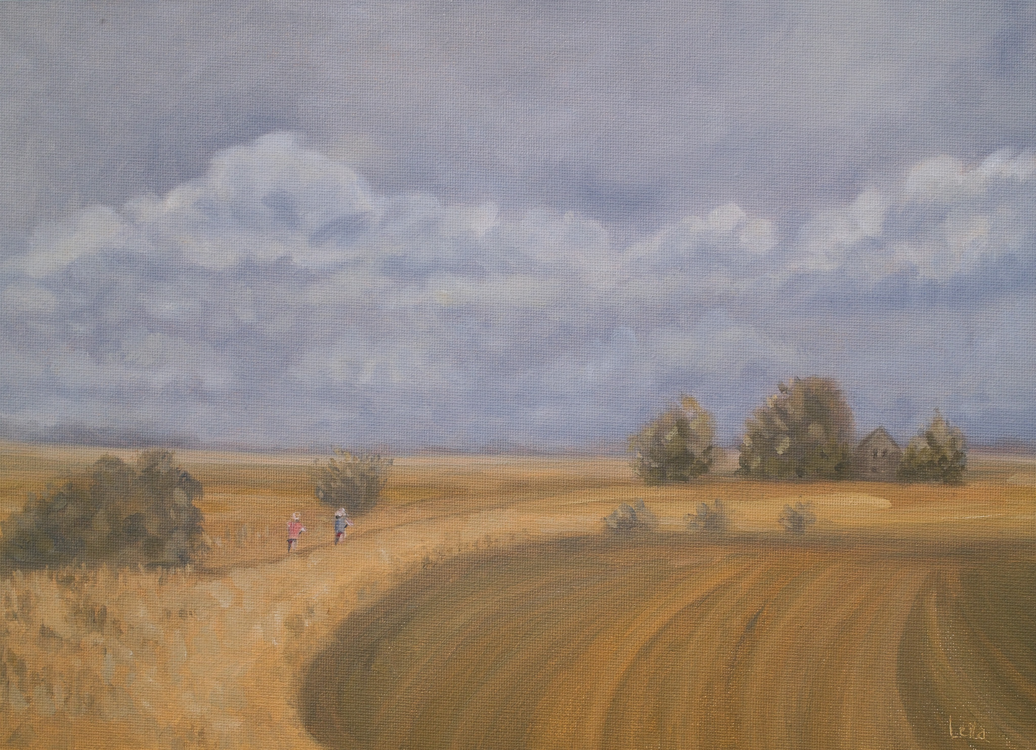 After the storm Landscape