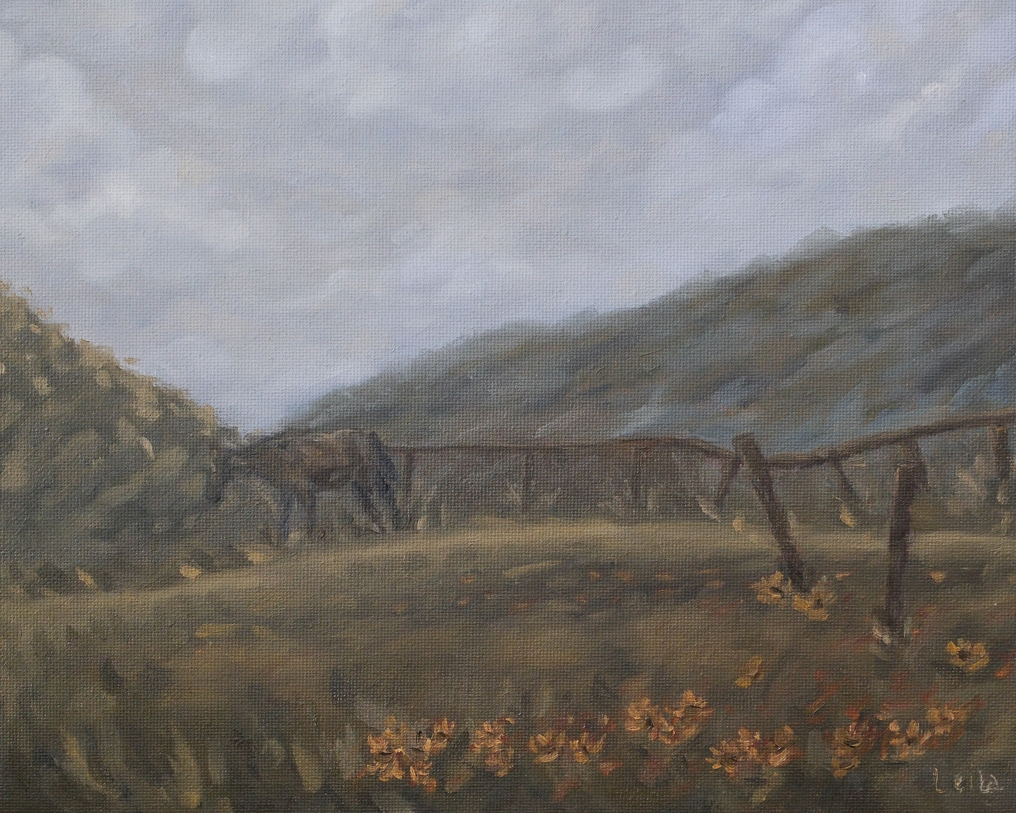 Horse and hills