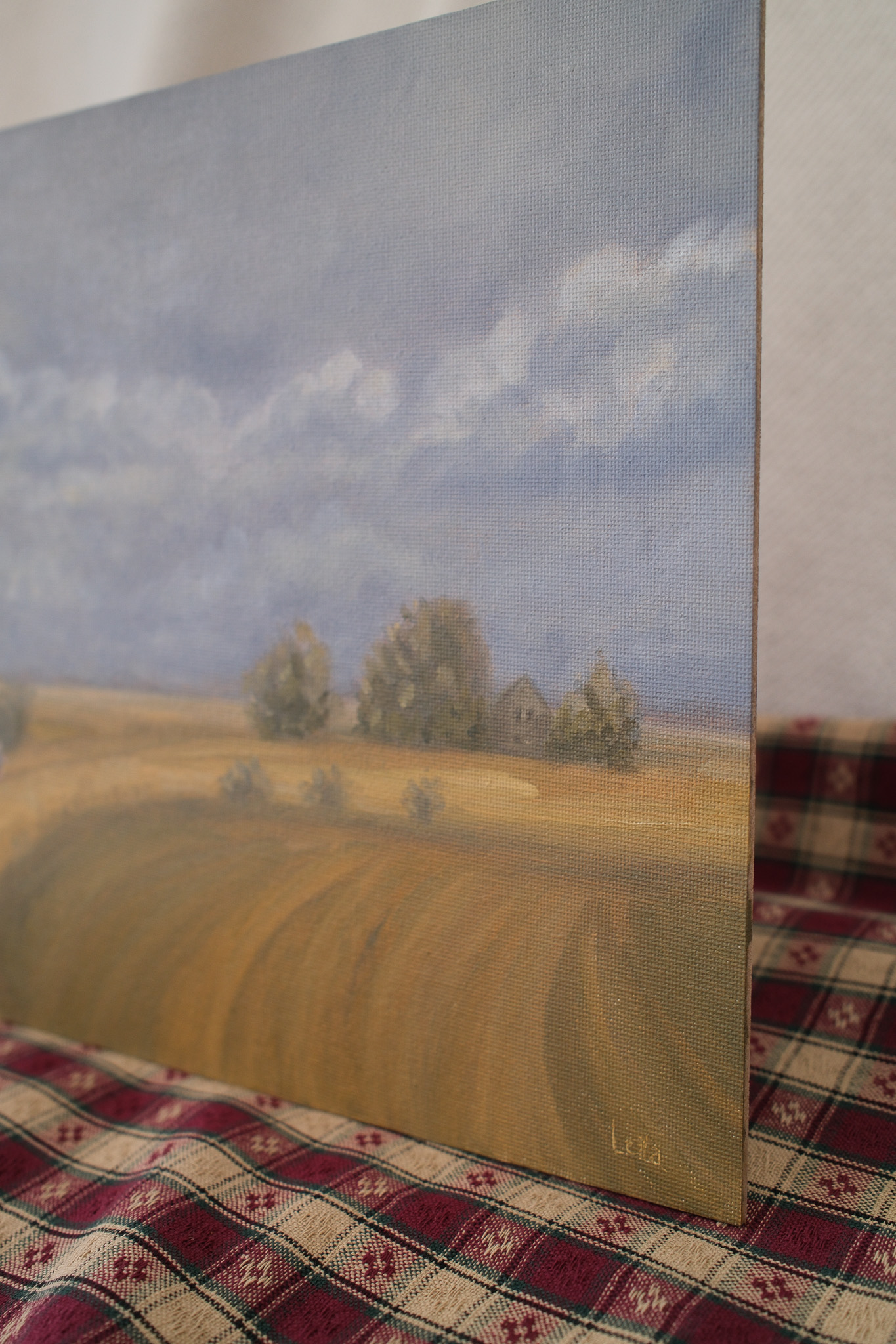 After the storm Landscape