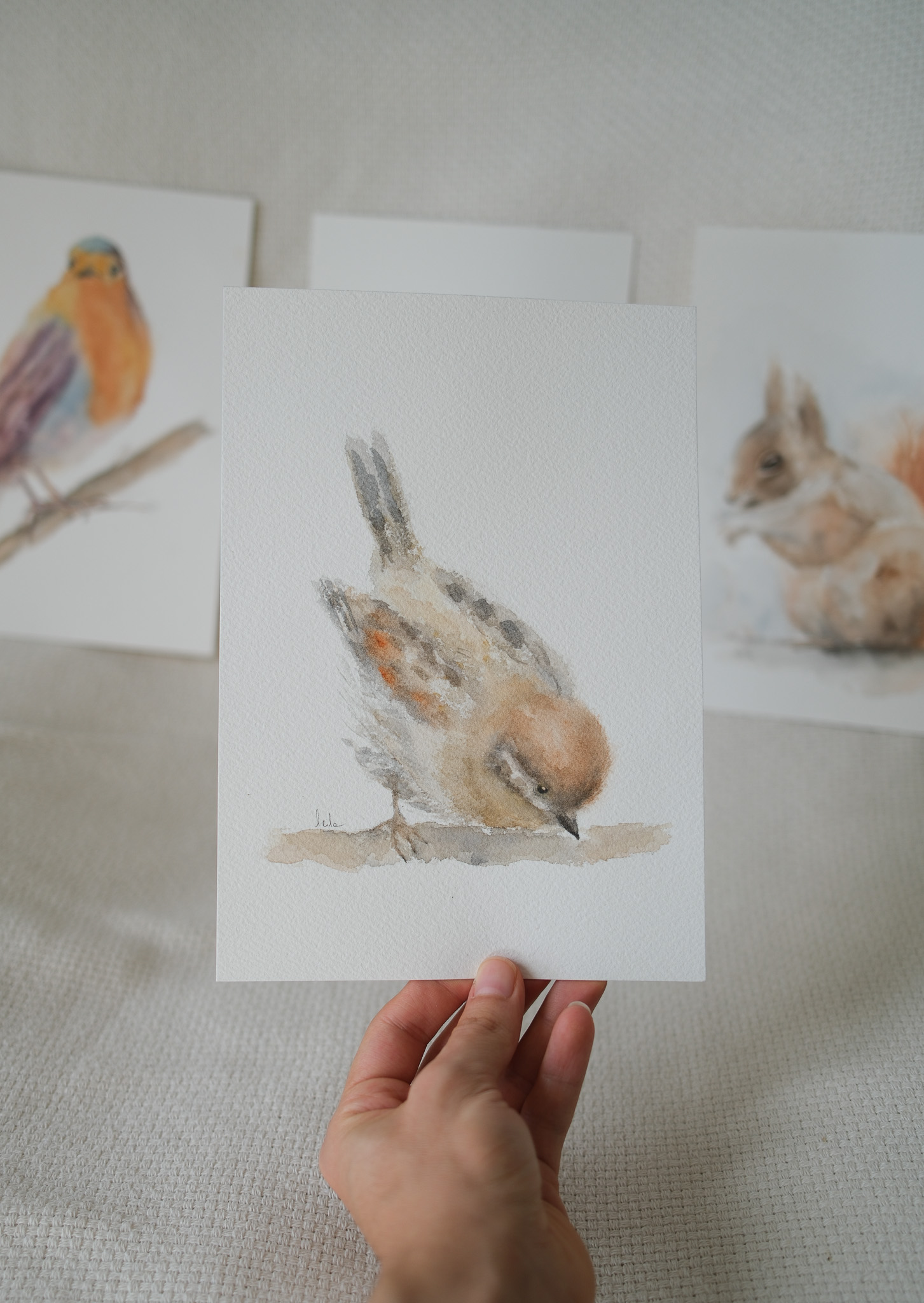 Bird Watercolor Commission 