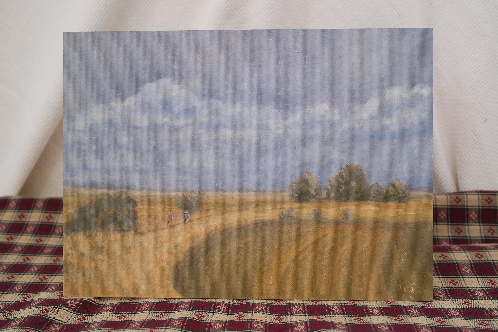 After the storm Landscape