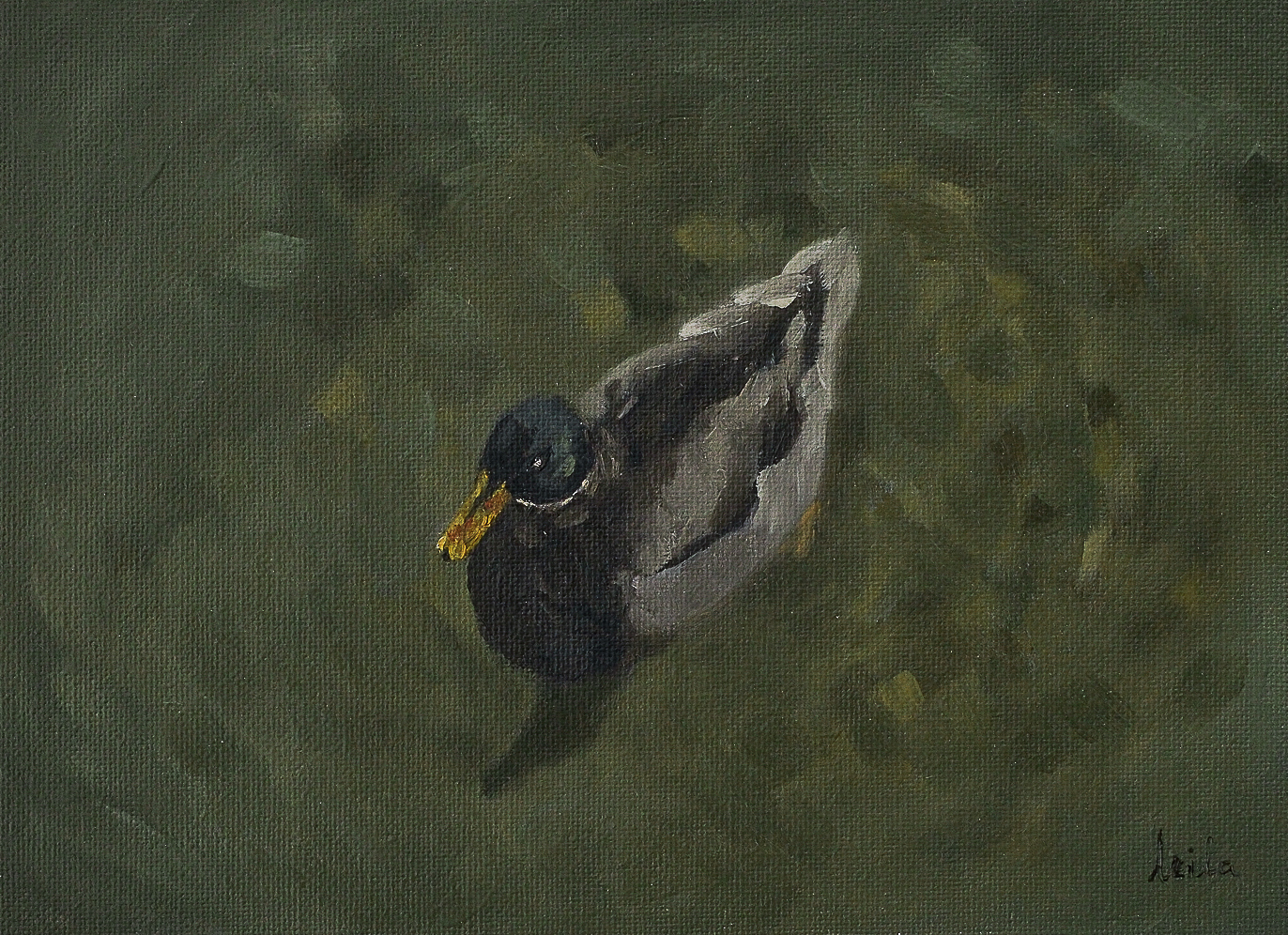 Mallard