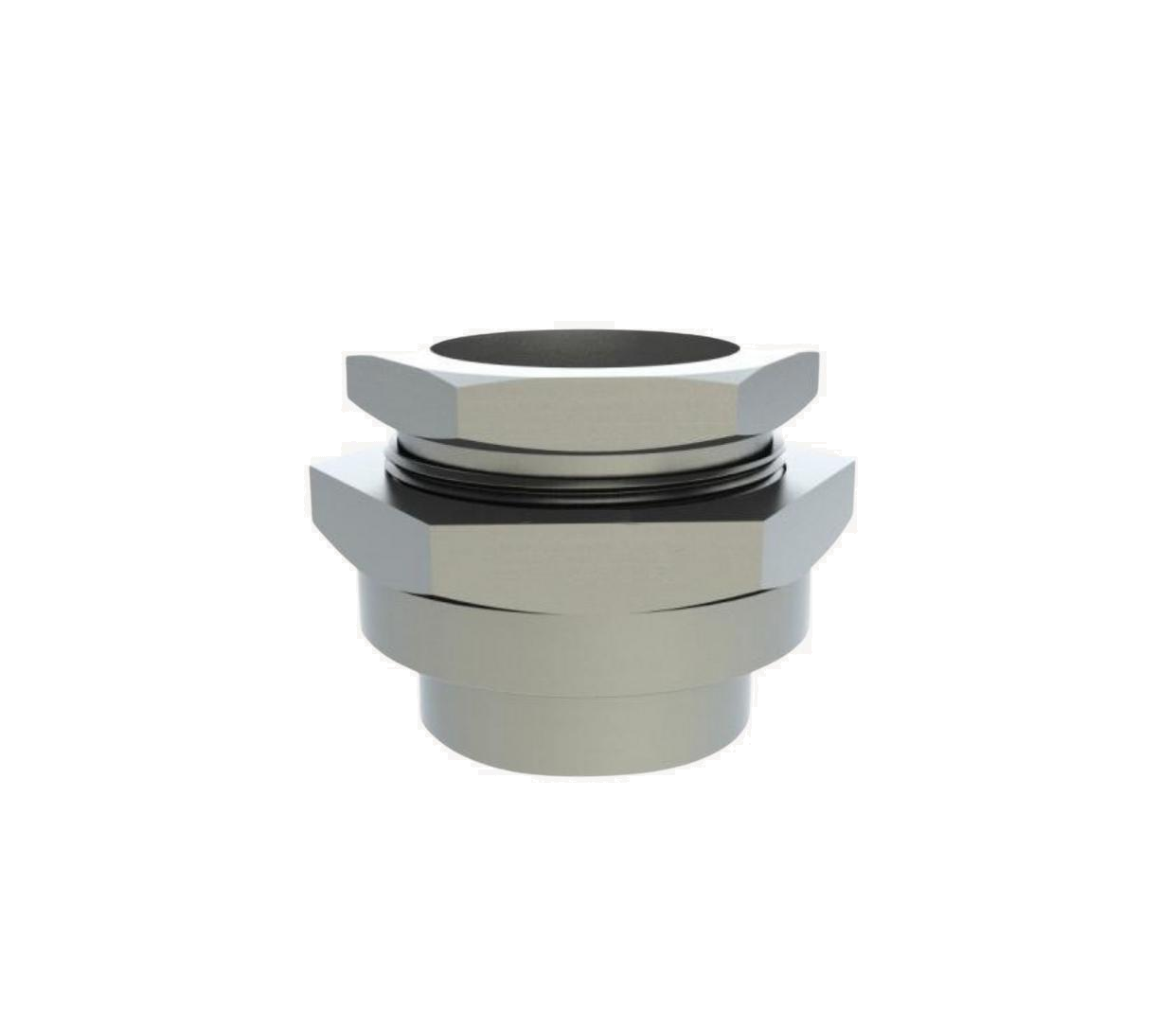 União fêmea fêmea