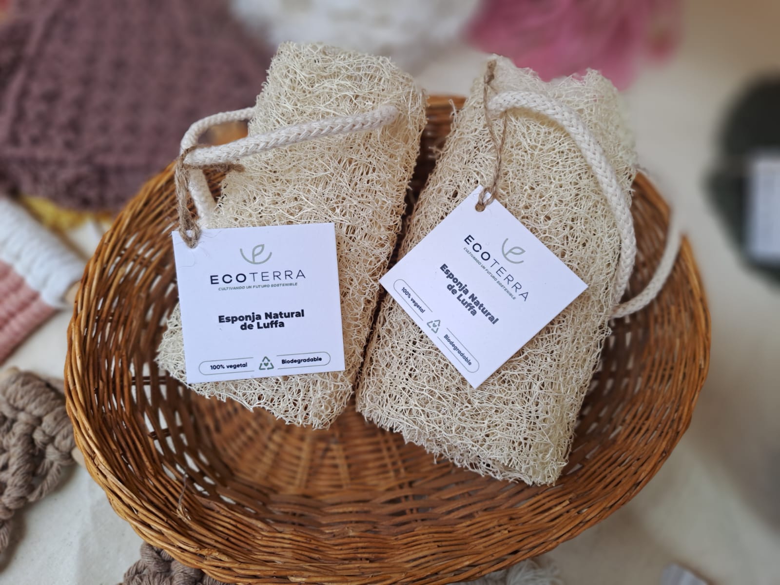 Esponja natural de Luffa 15cm