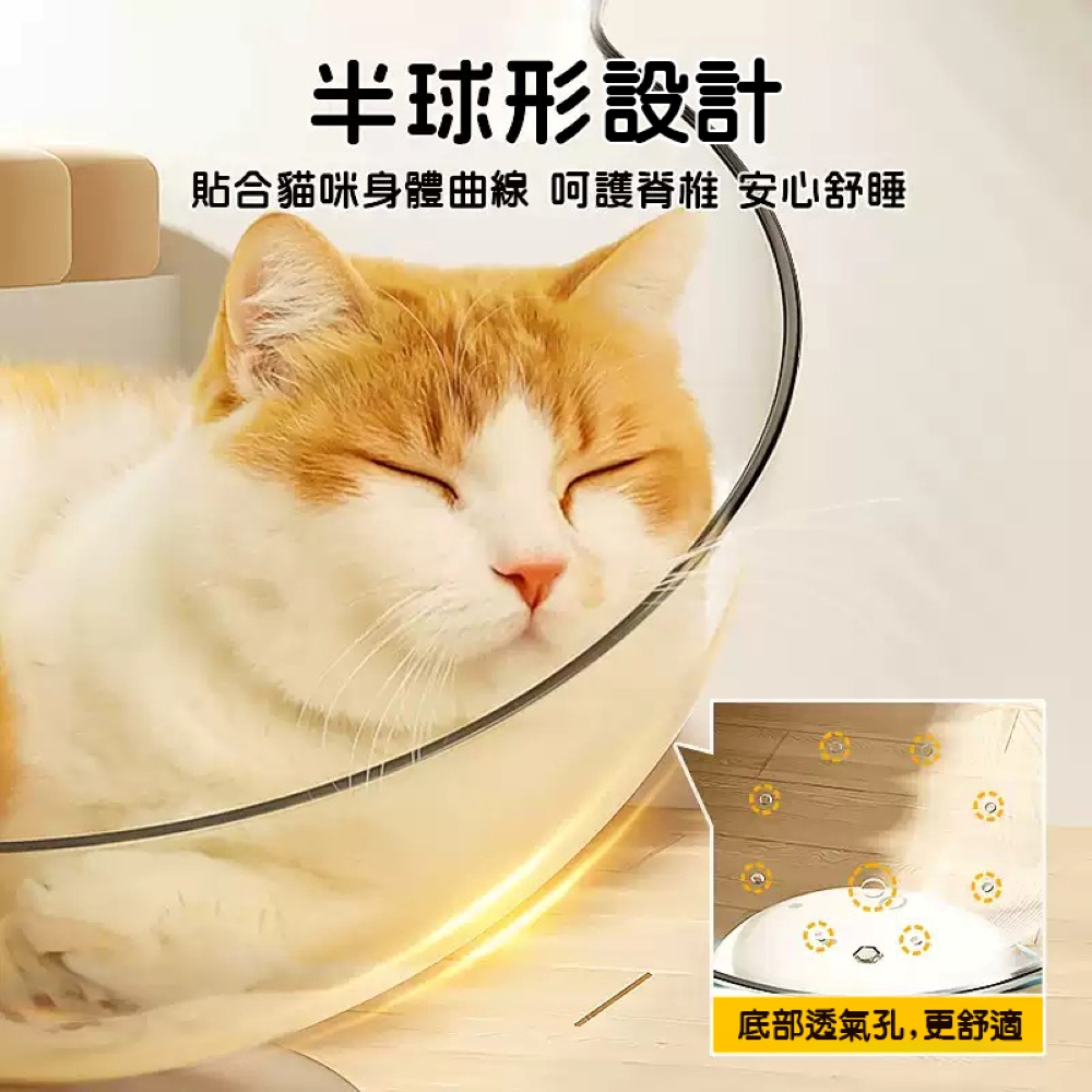 透明貓耳窩款轉盤玩具