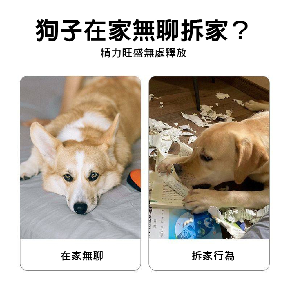 發聲響紙狗狗玩具-報紙造型