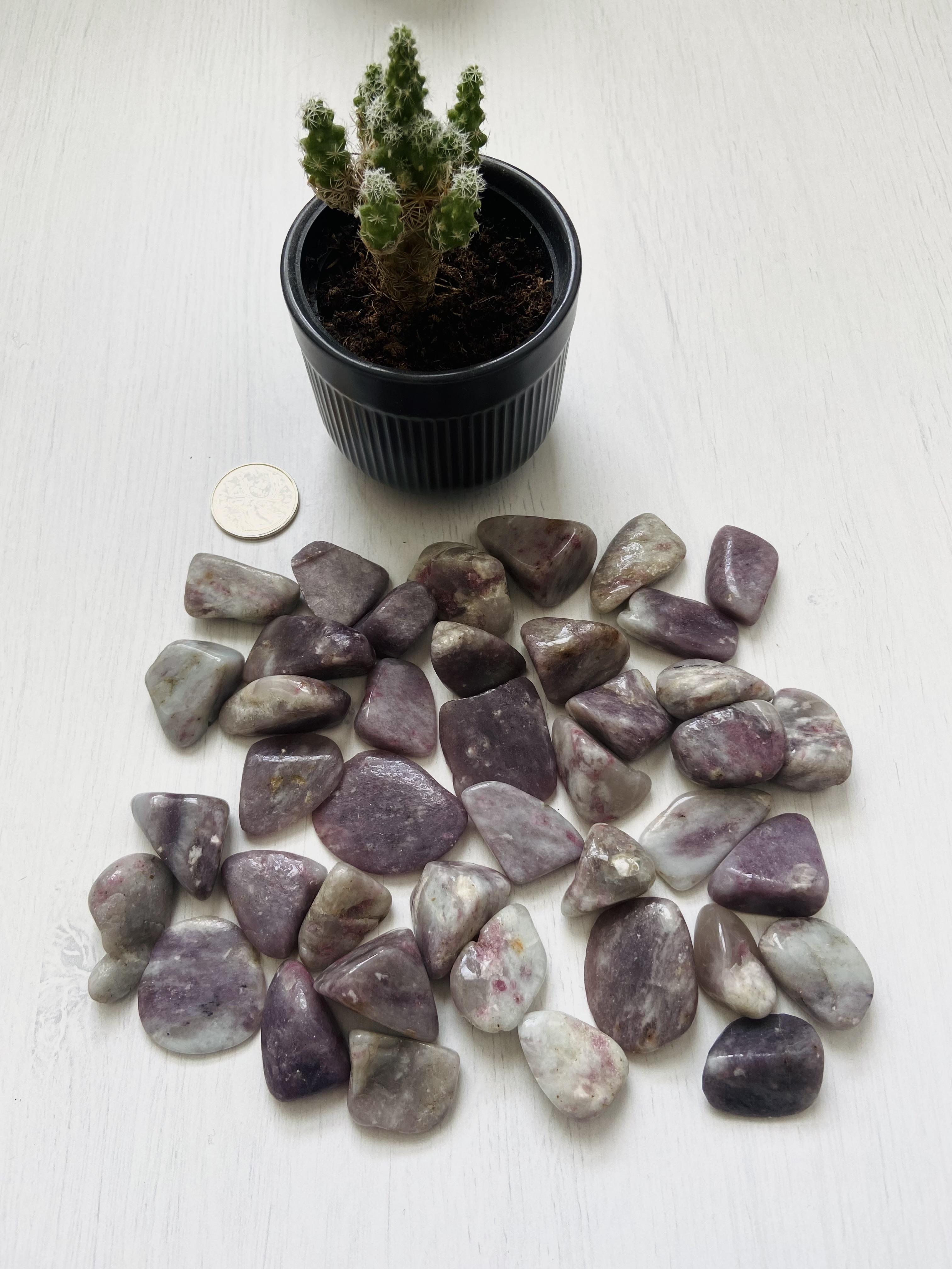 Lepidolite Tumbles