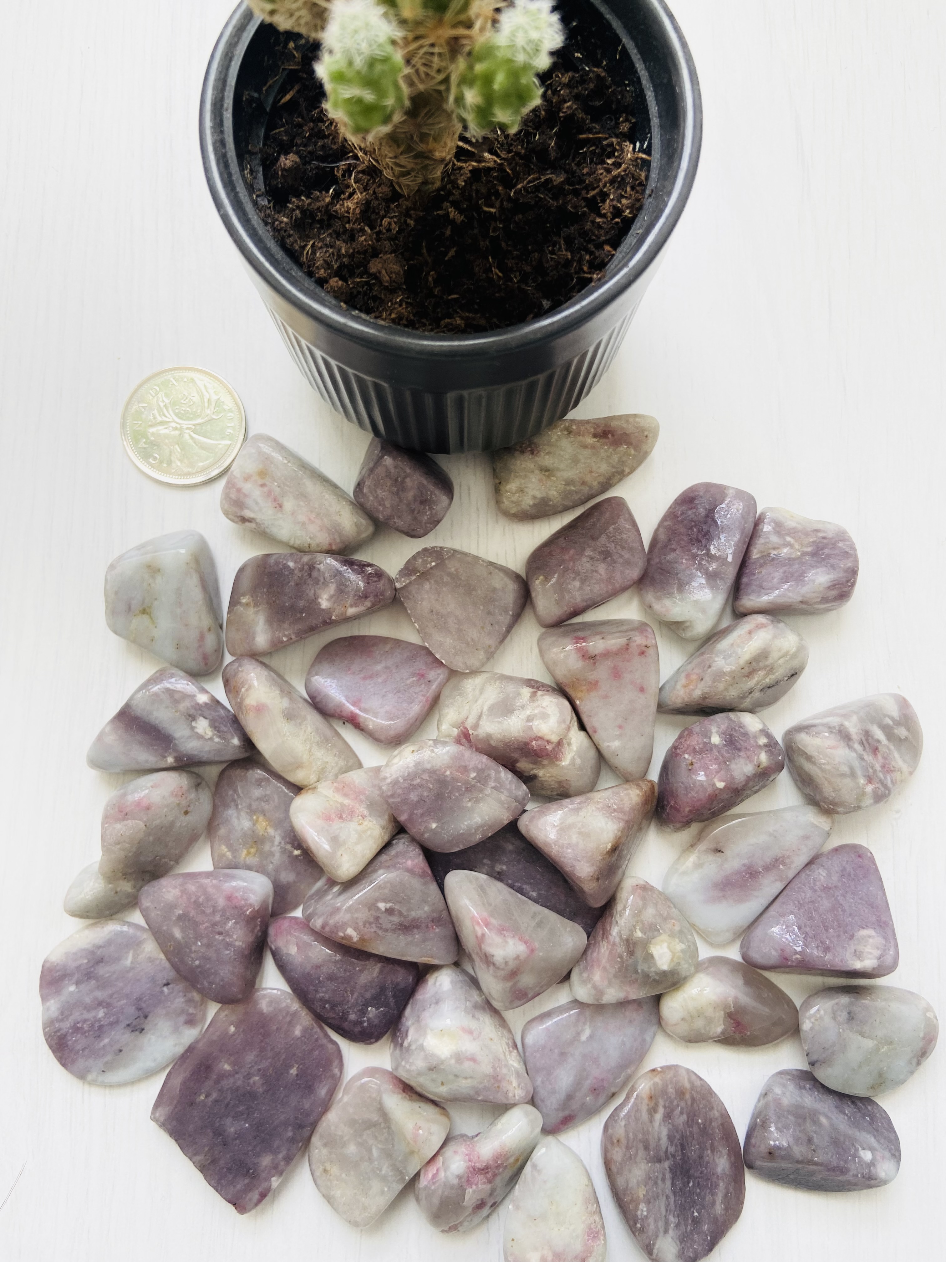 Lepidolite Tumbles
