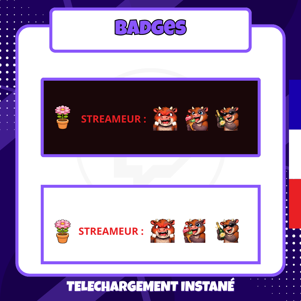Pack de badges Twitch - Starter - Fleur - 6 Badges 