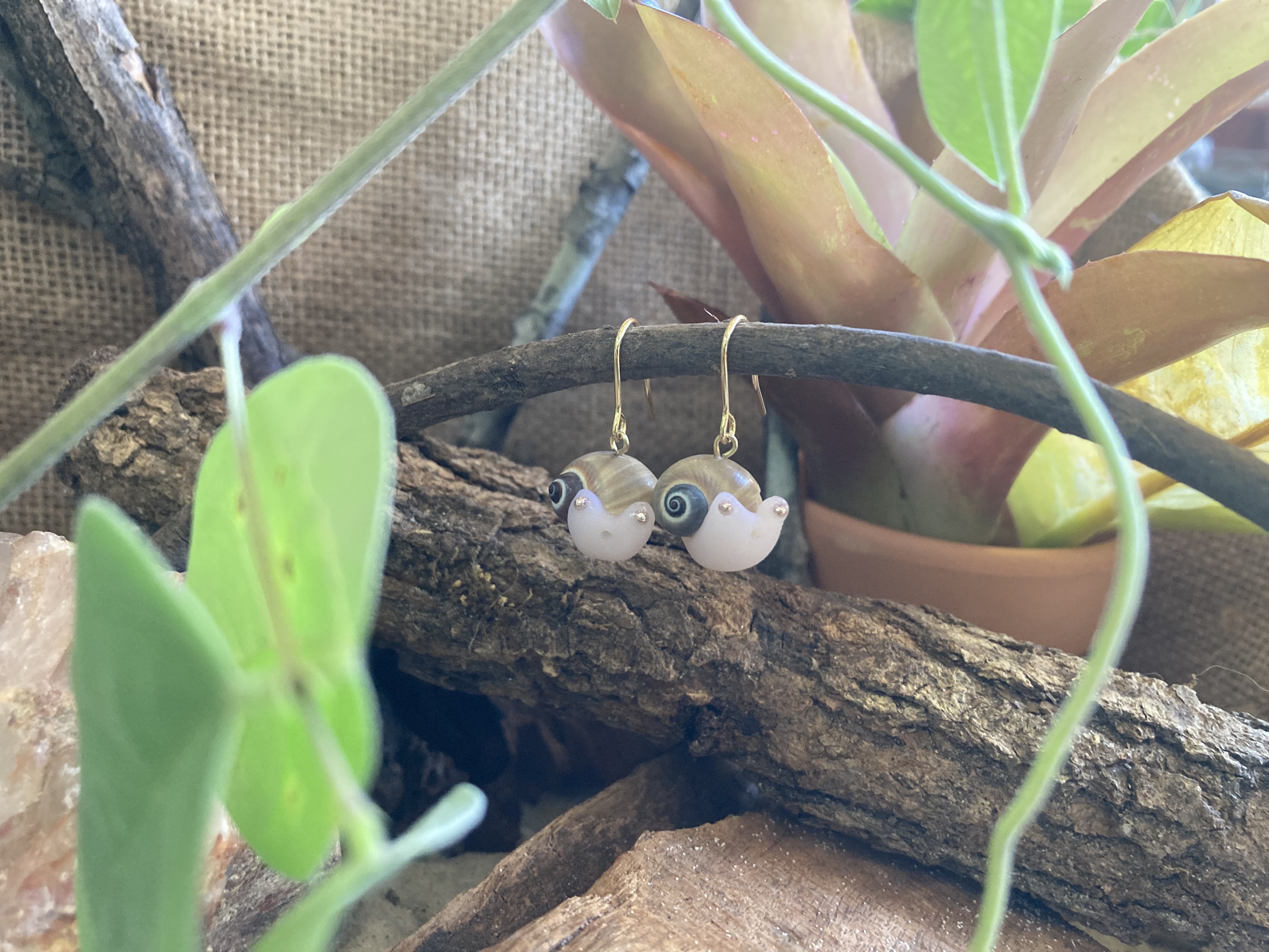 Snail Earrings
