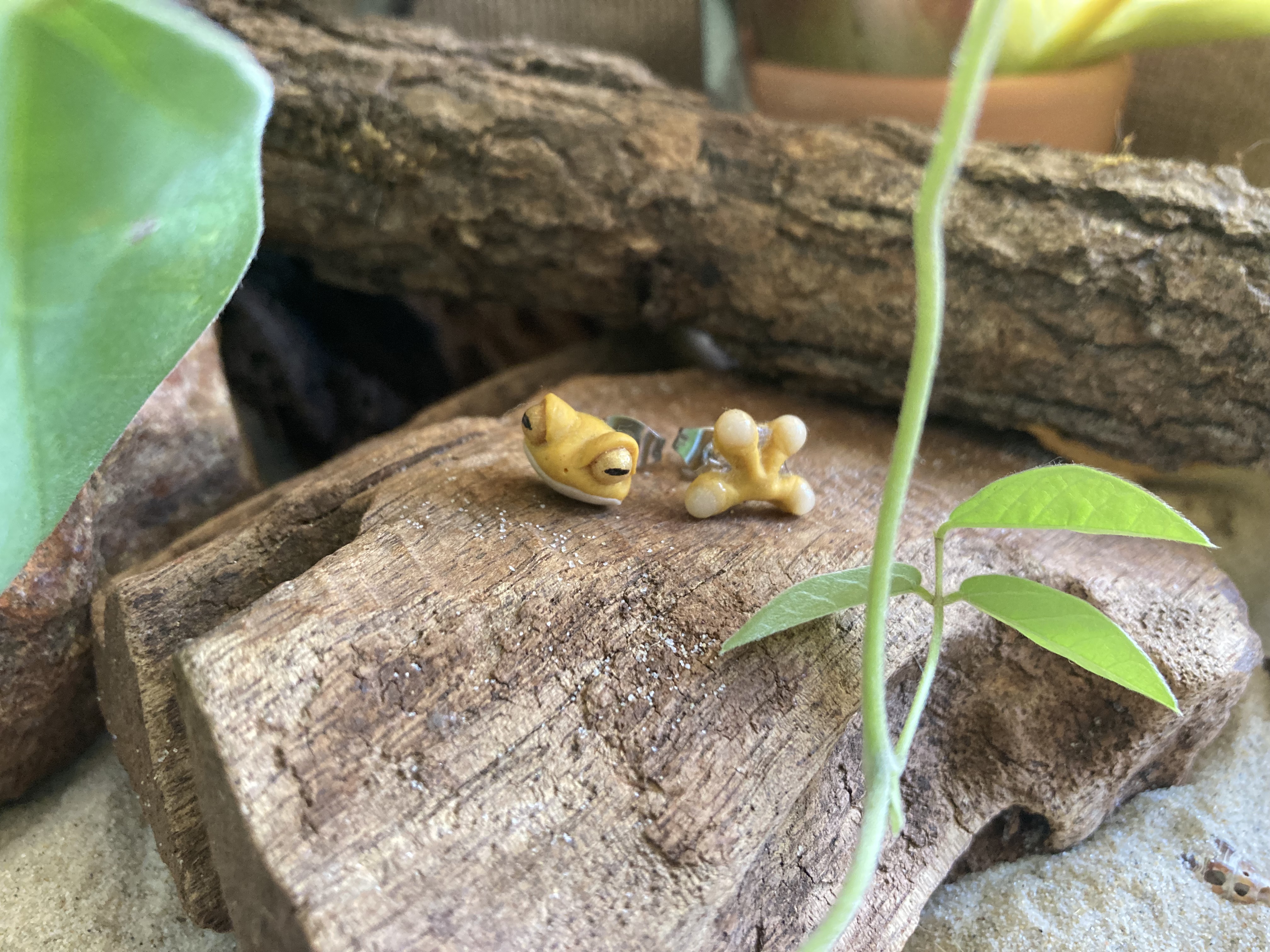 Frog Head and Hand Studs