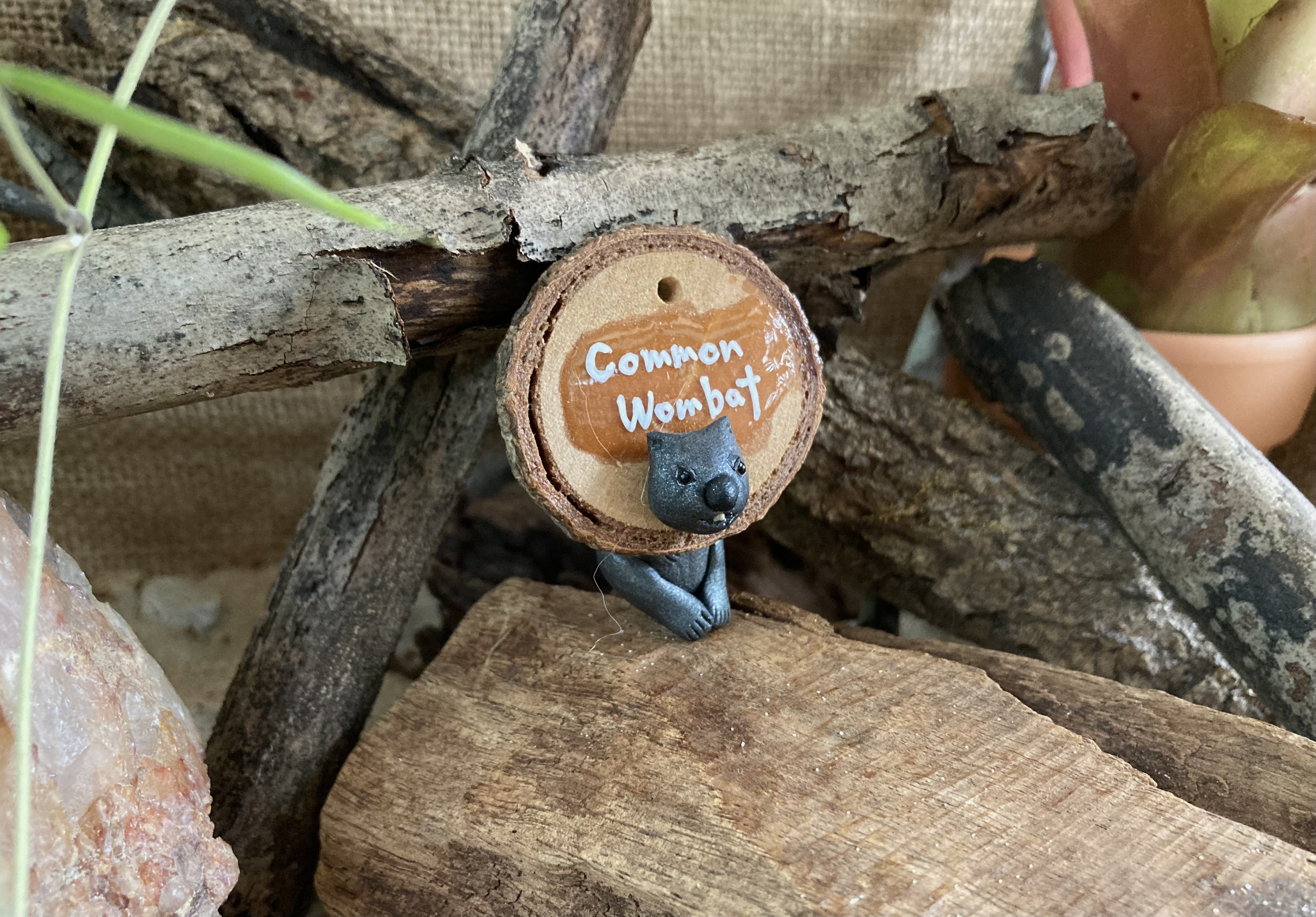 Common Wombat Head Stud and Body Catch