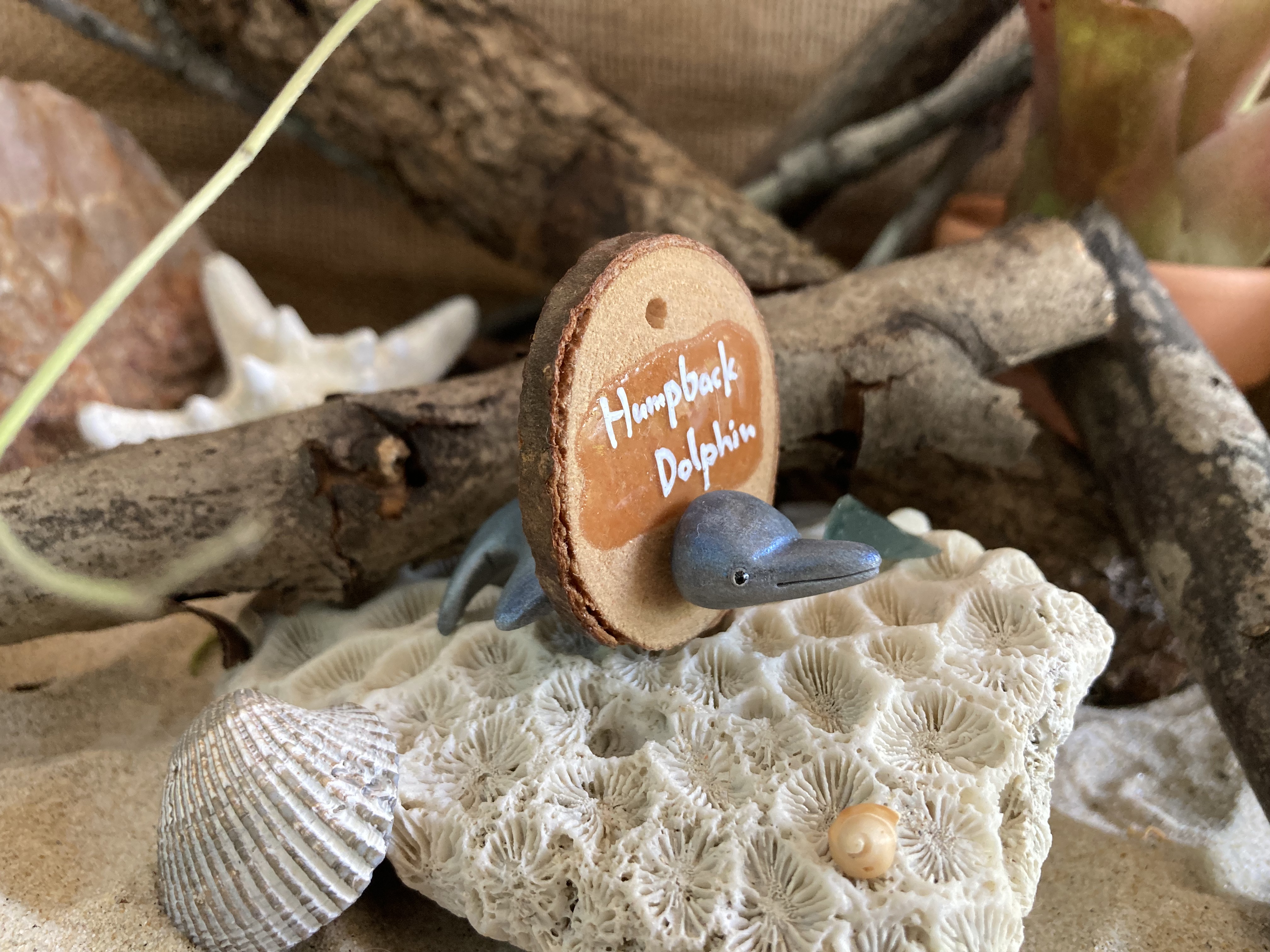 Humpback Dolphin Head Stud and Body Catch