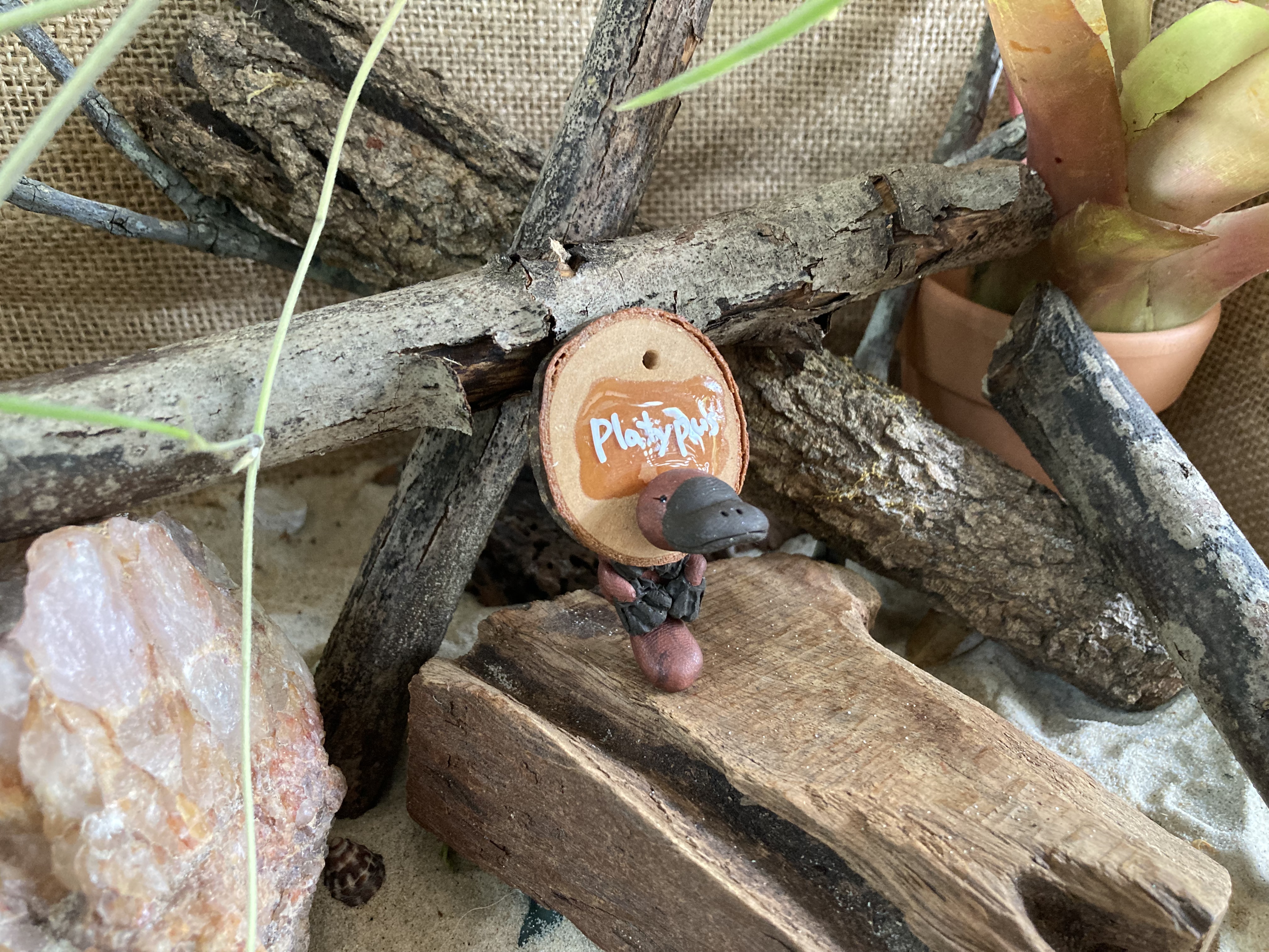 Platypus Head Stud and Body Catch