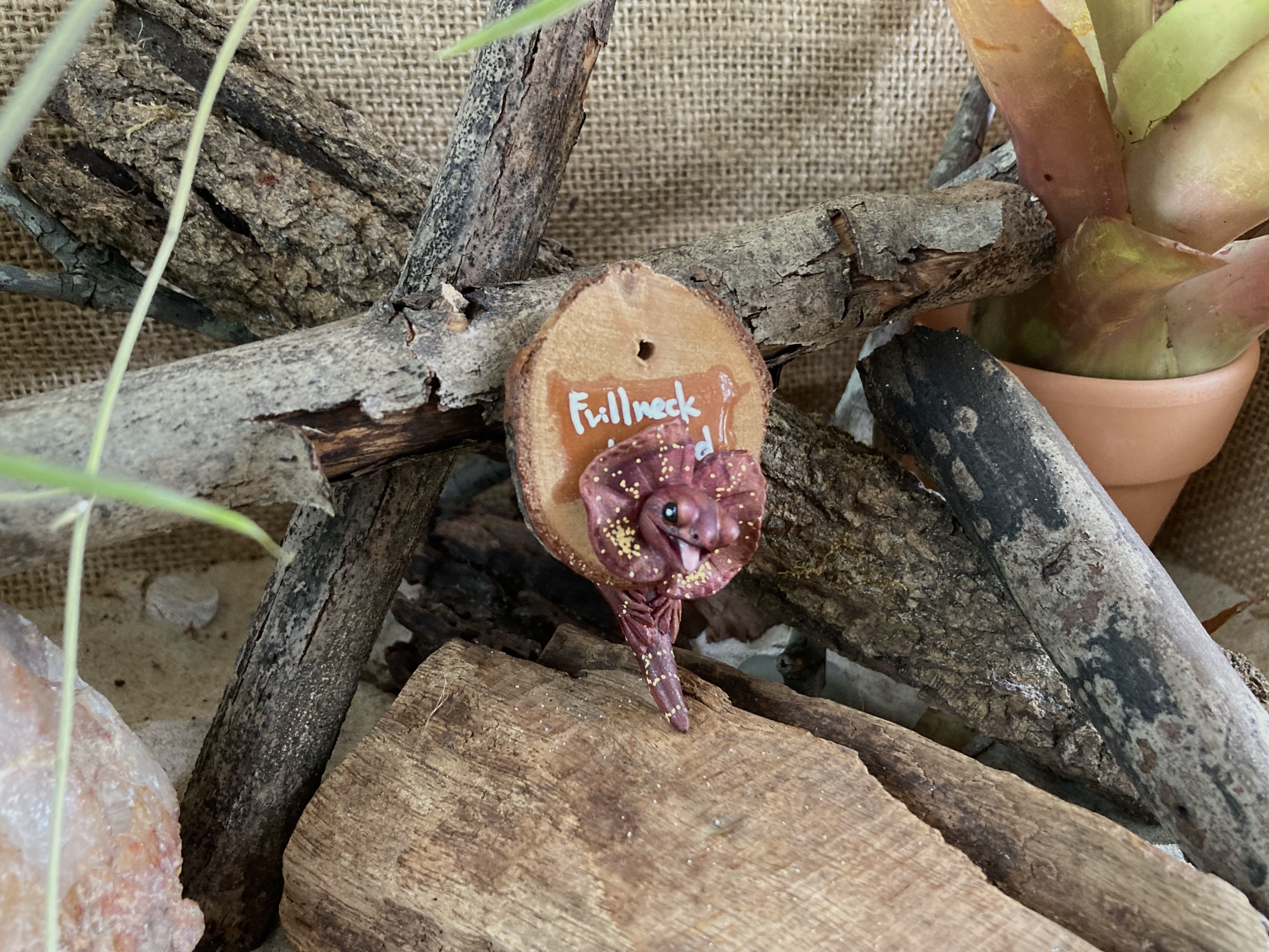 Frill Neck Lizard Head Stud and Body Catch