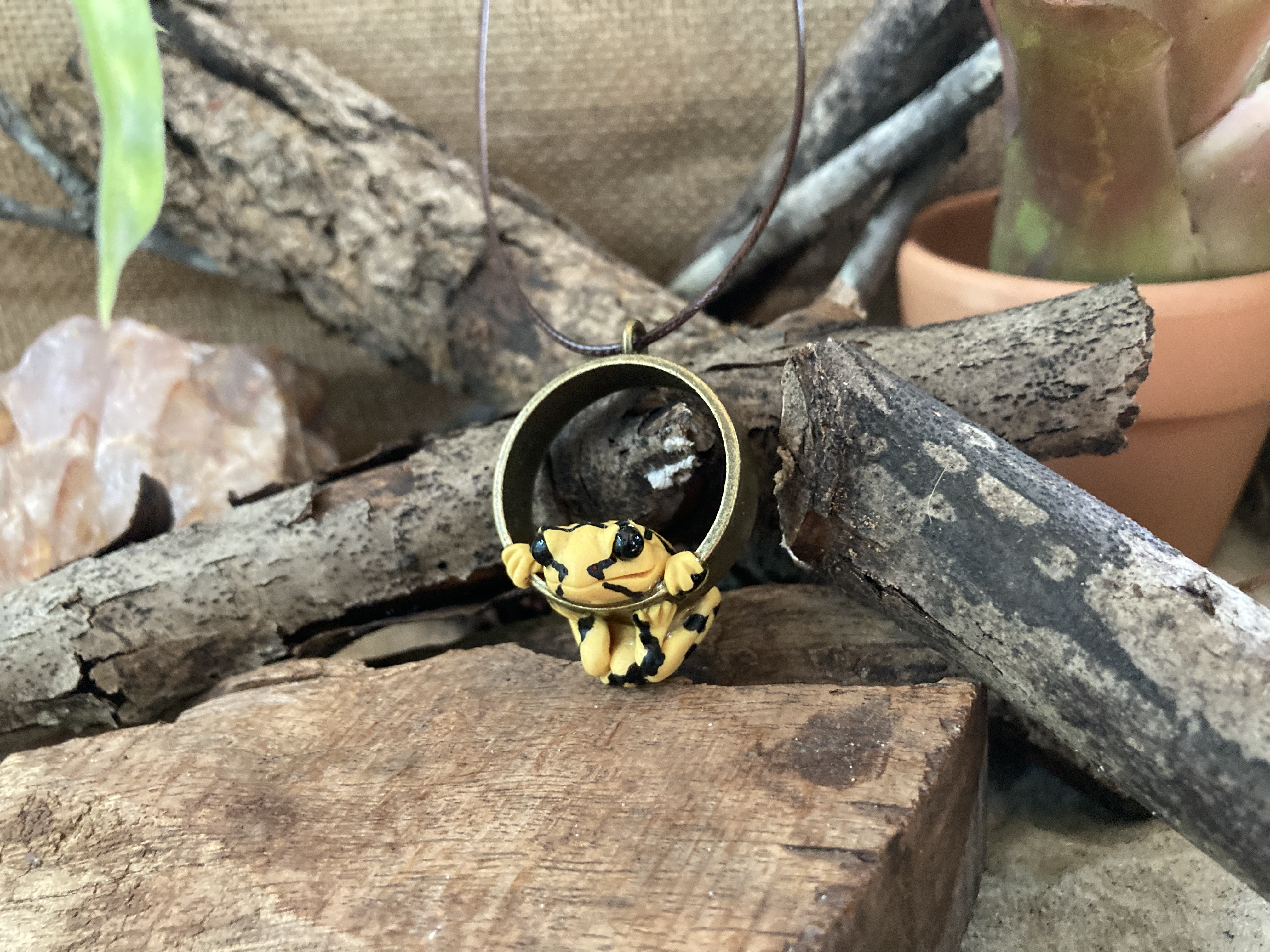 Corroboree Frog Pendant Necklace