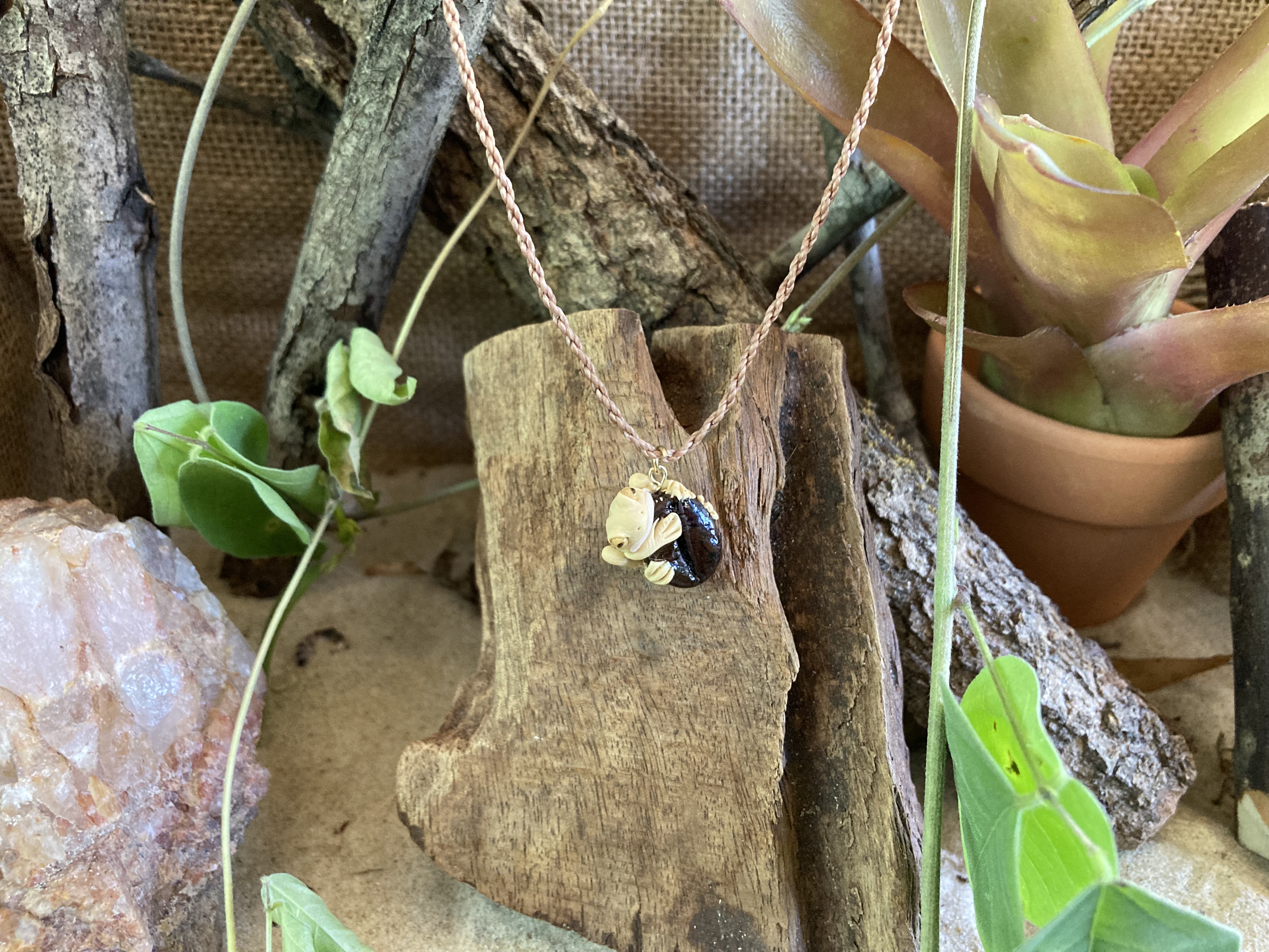 Frog on Coffee Bean  Necklace