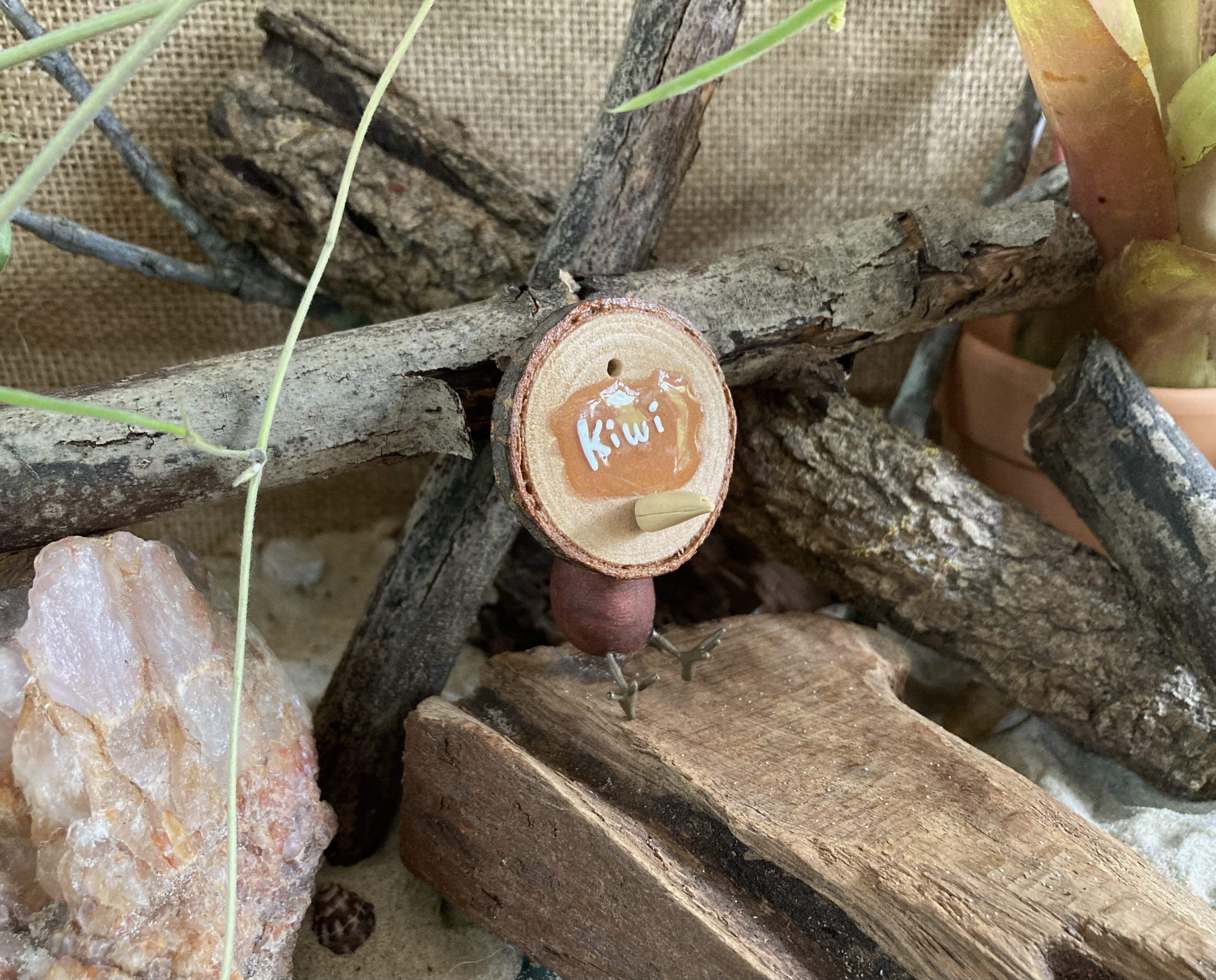 Kiwi Head Stud and Body Catch