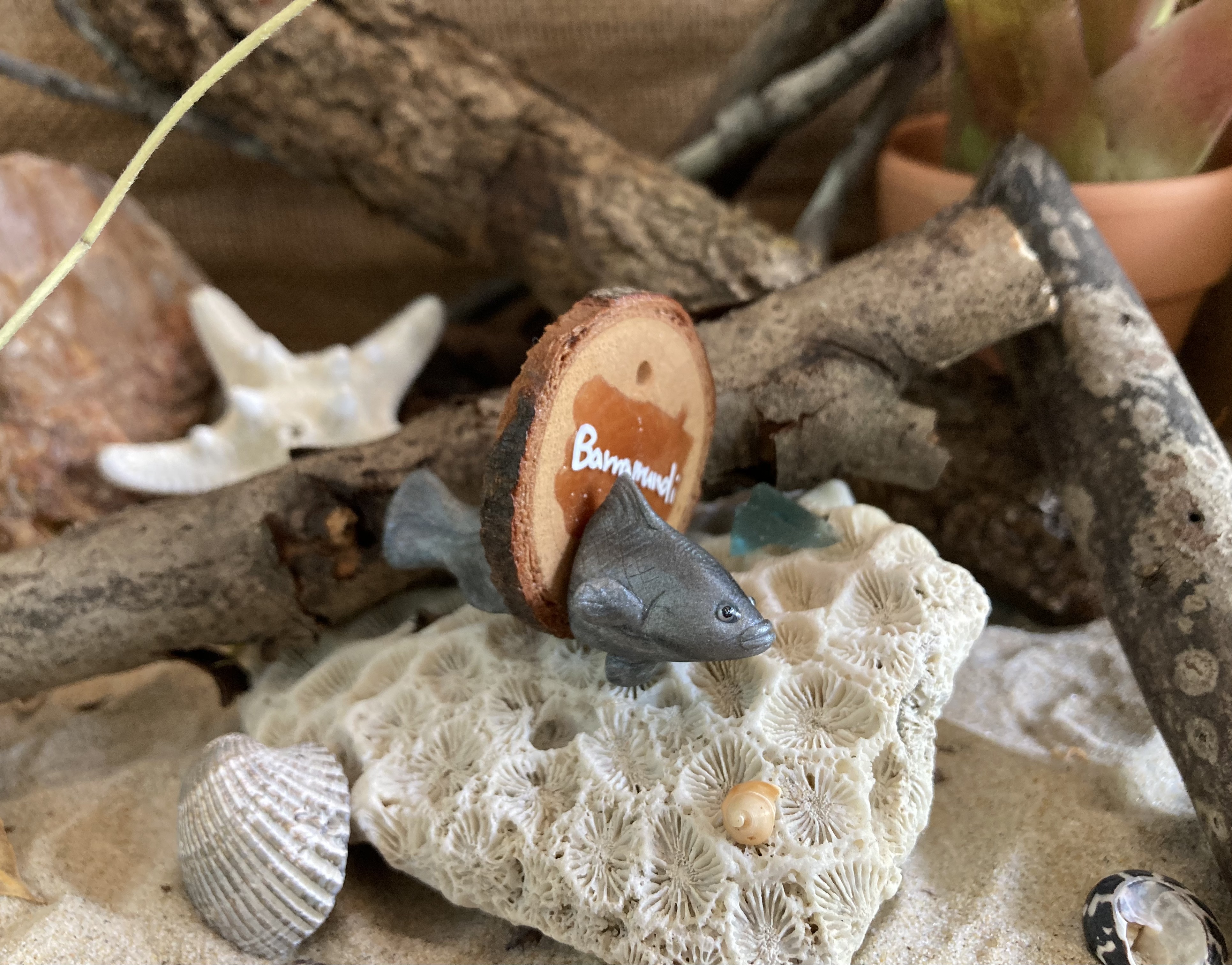 Barramundi Head Stud and Body Catch