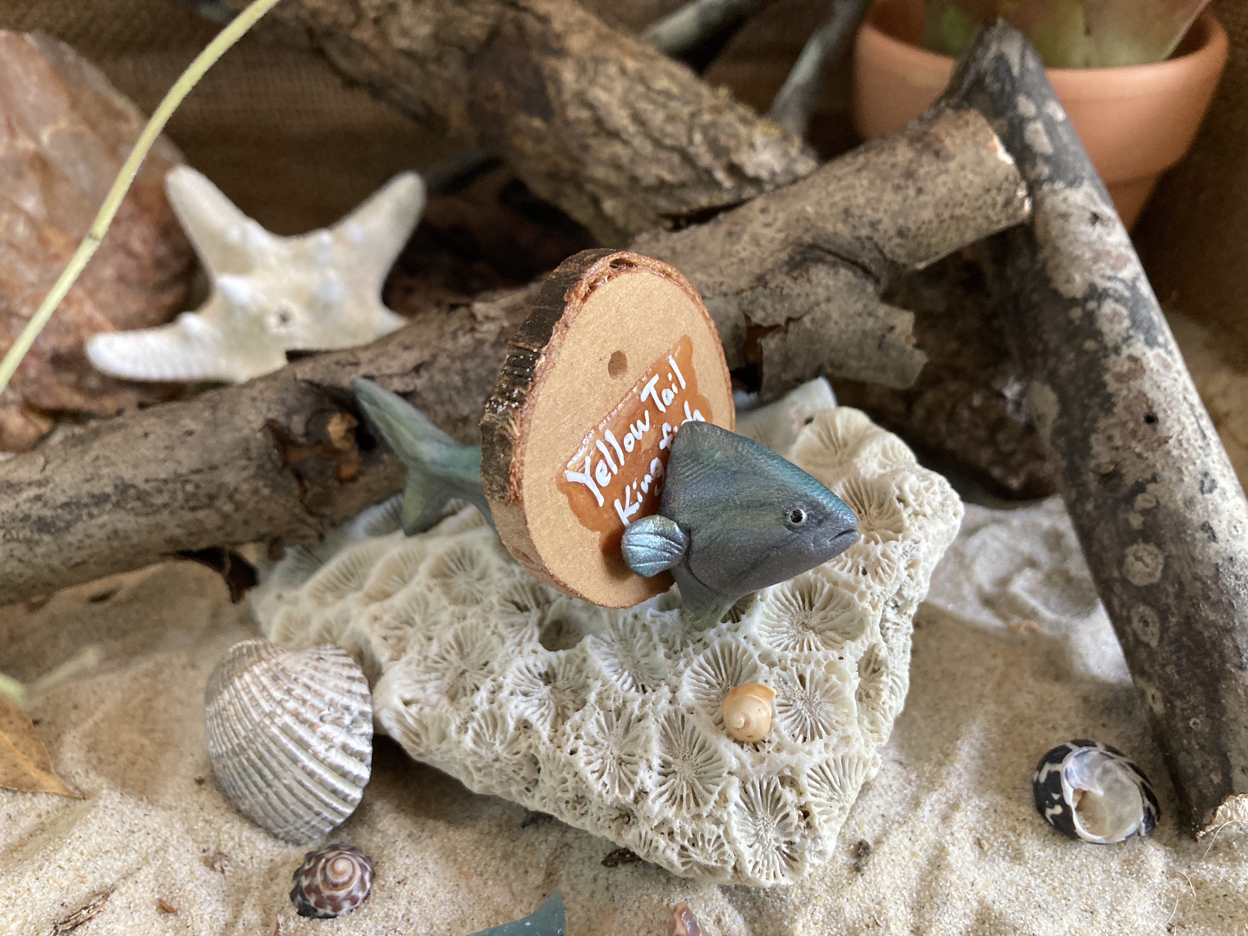 Yellow Tail Kingfish Head Stud and Body Catch