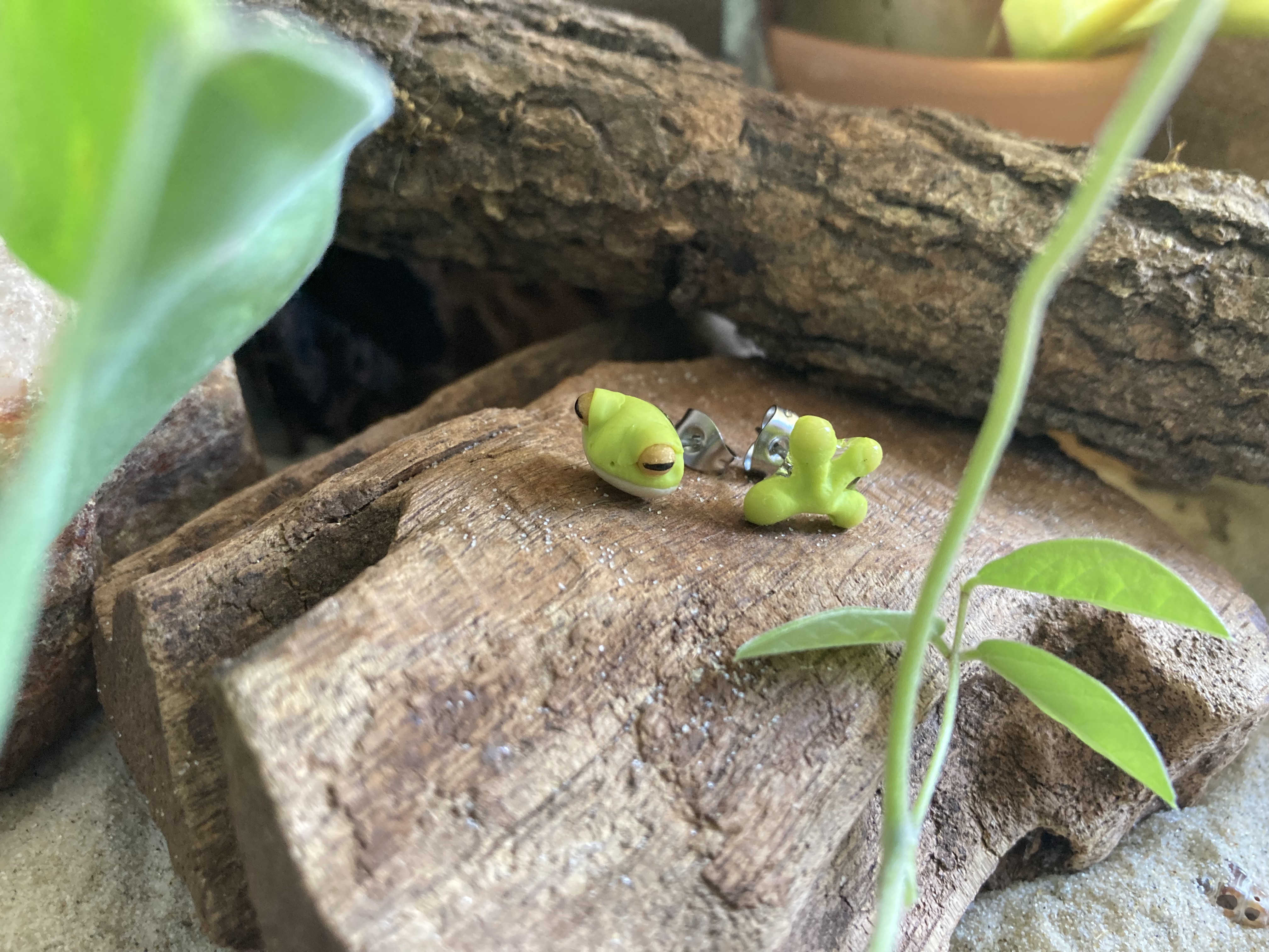Frog Head and Hand Studs