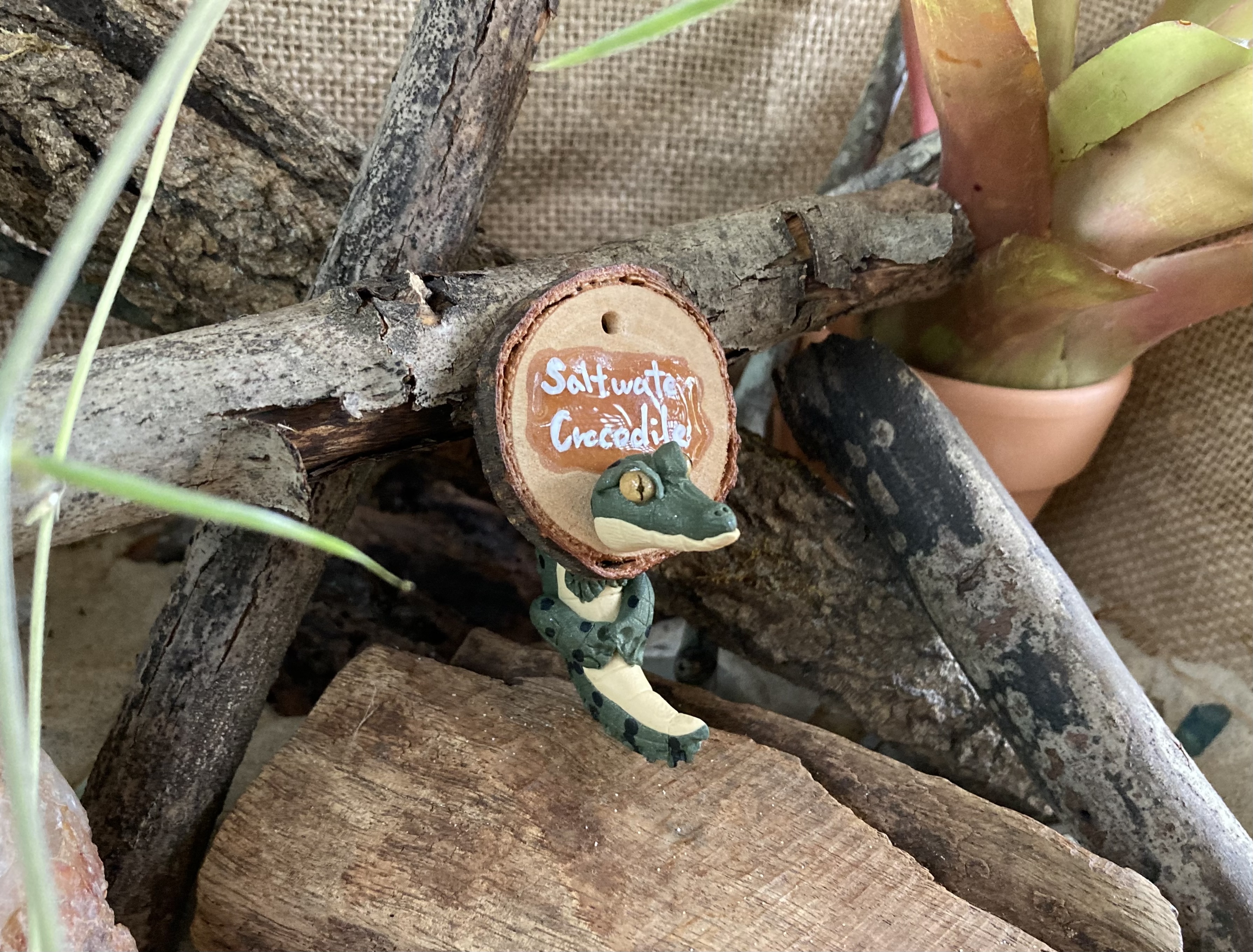 Saltwater Crocodile Head Stud and Body Catch