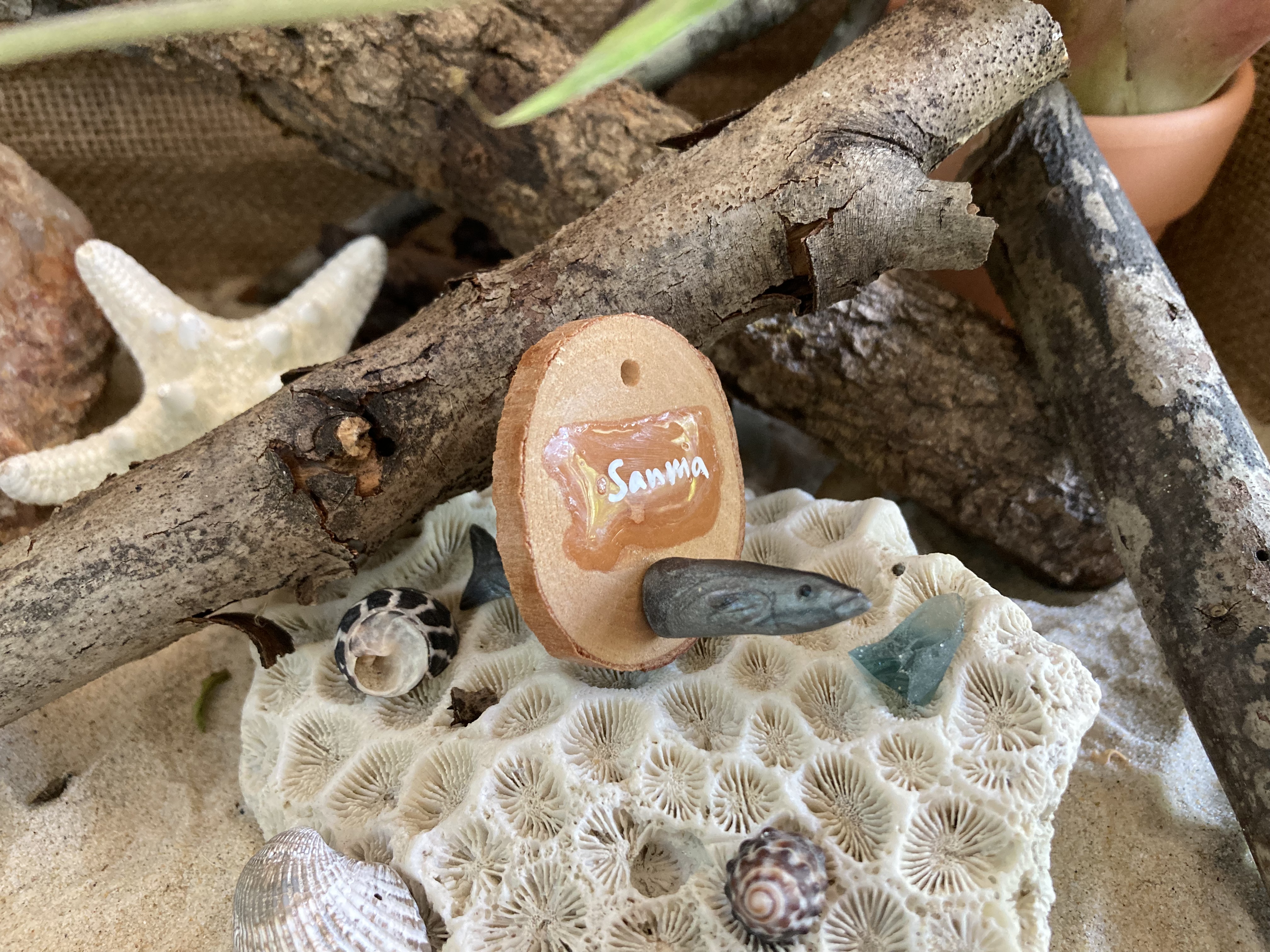 Sanma Head Stud and Body Catch