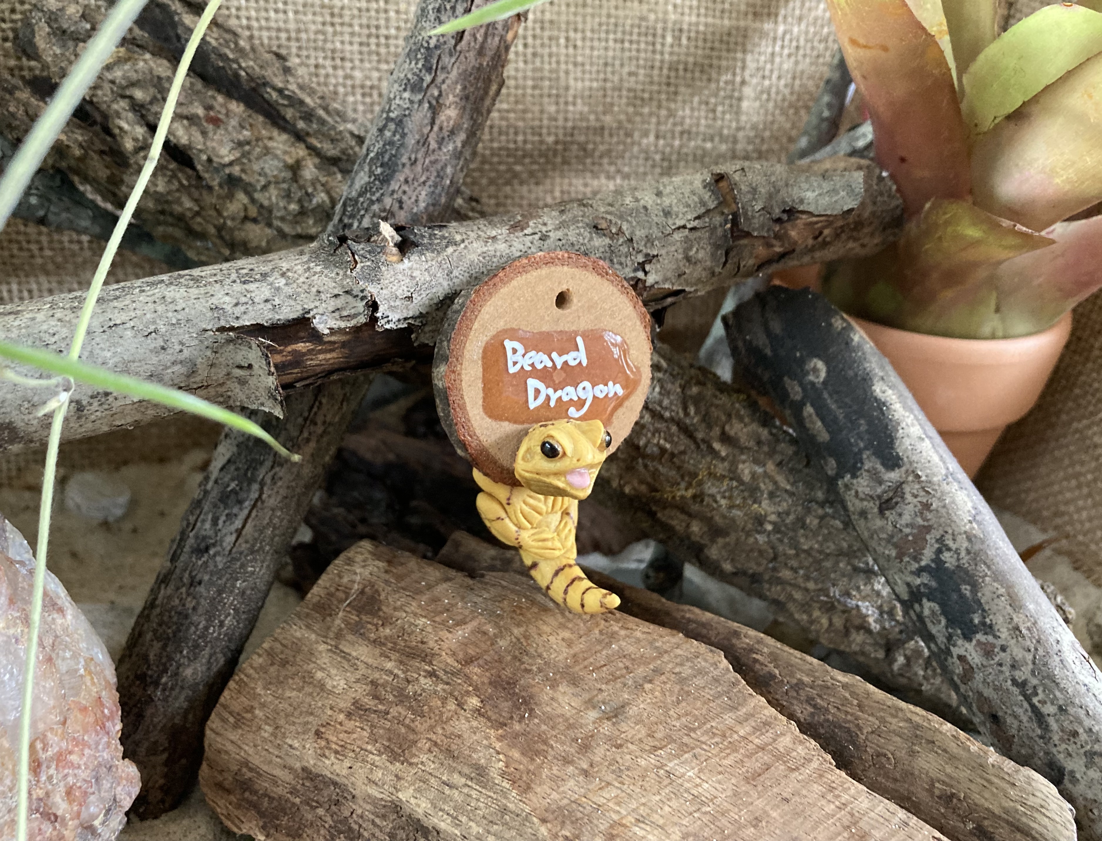 Beard Dragon Head Stud and Body Catch