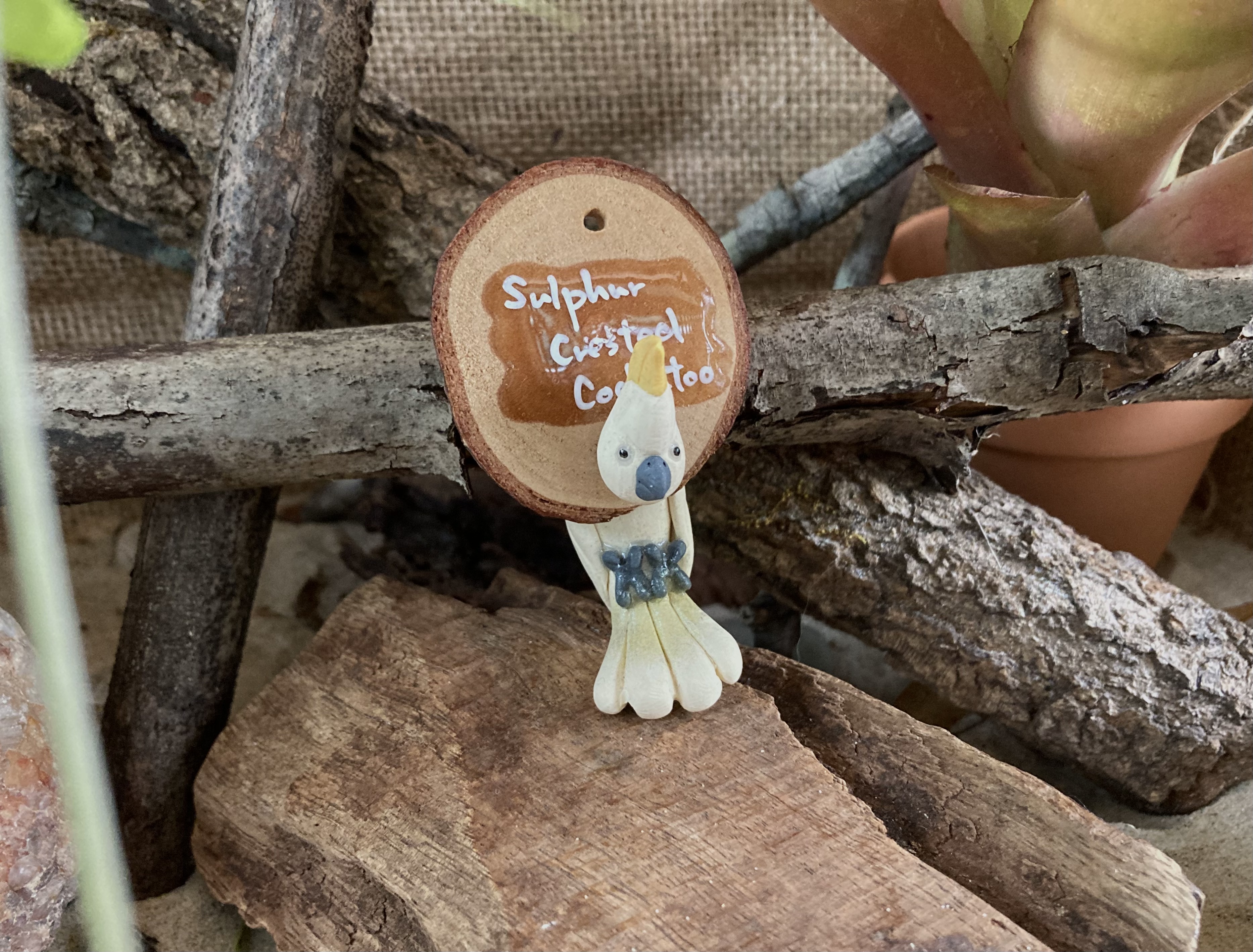 Sulphur Crested Cockatoo Head Stud and Body Catch