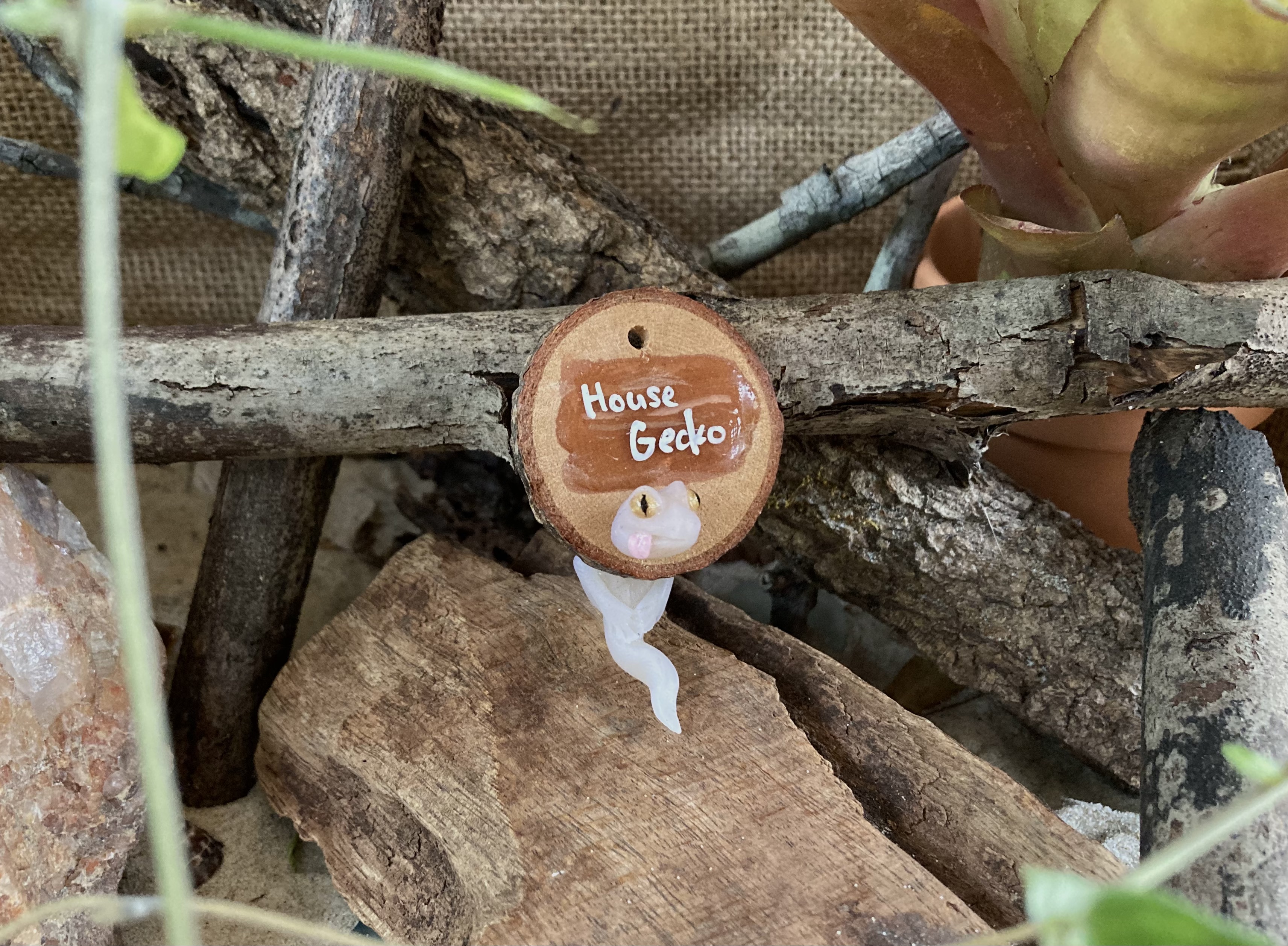 House Gecko Head Stud and Body Catch