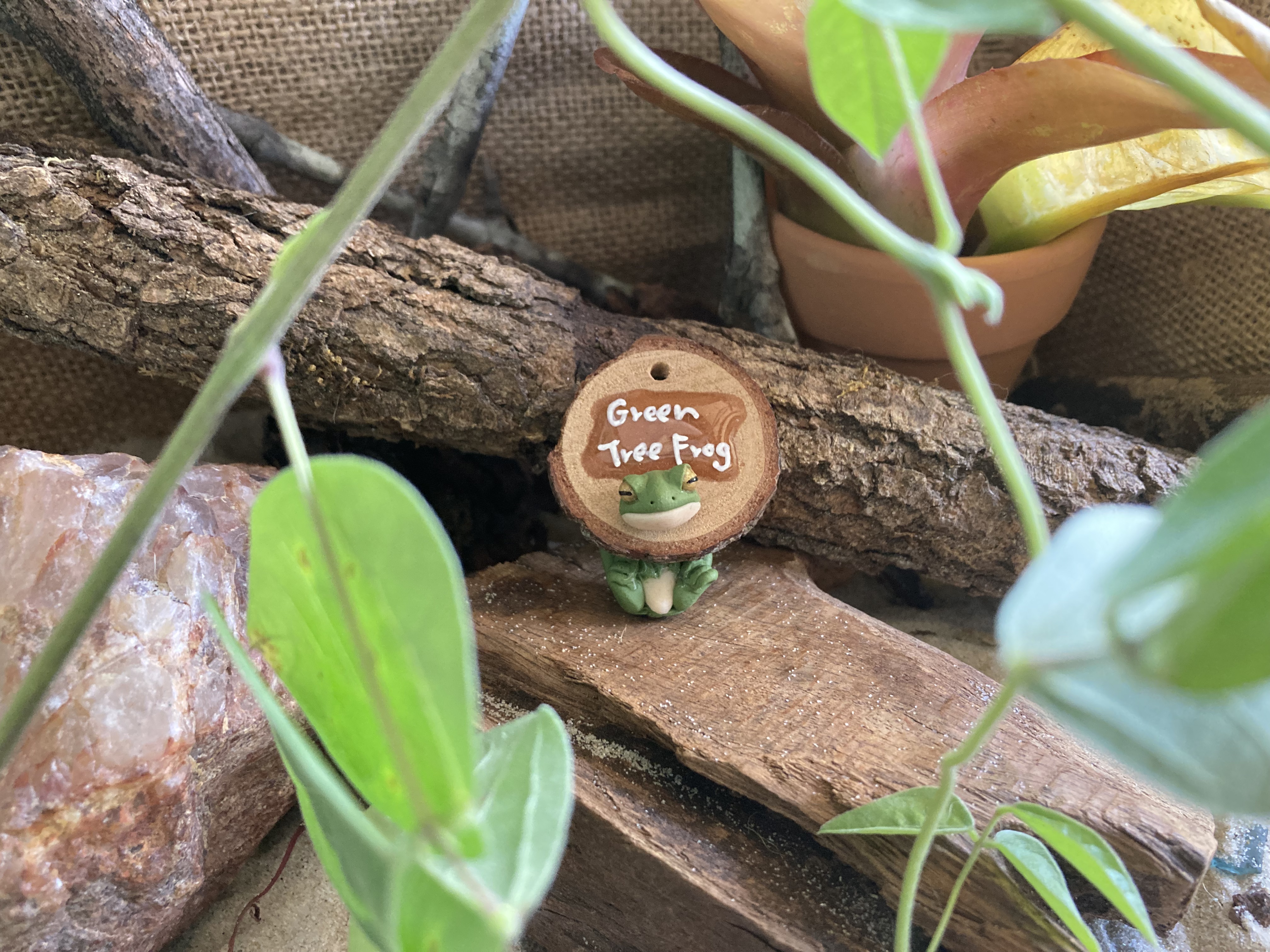 Frog Head Stud and Body Catch