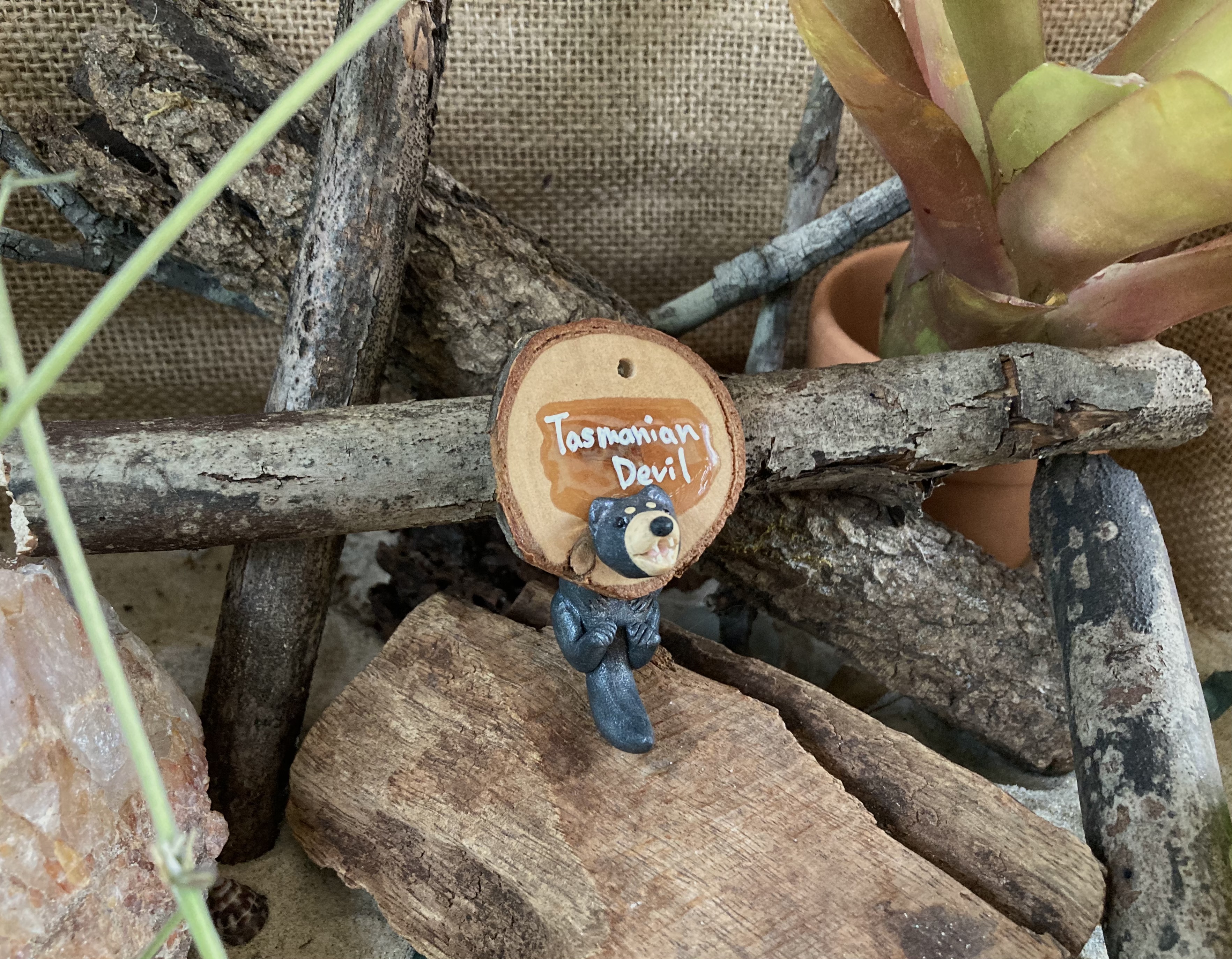 Tasmanian Devil Head Stud and Body Catch