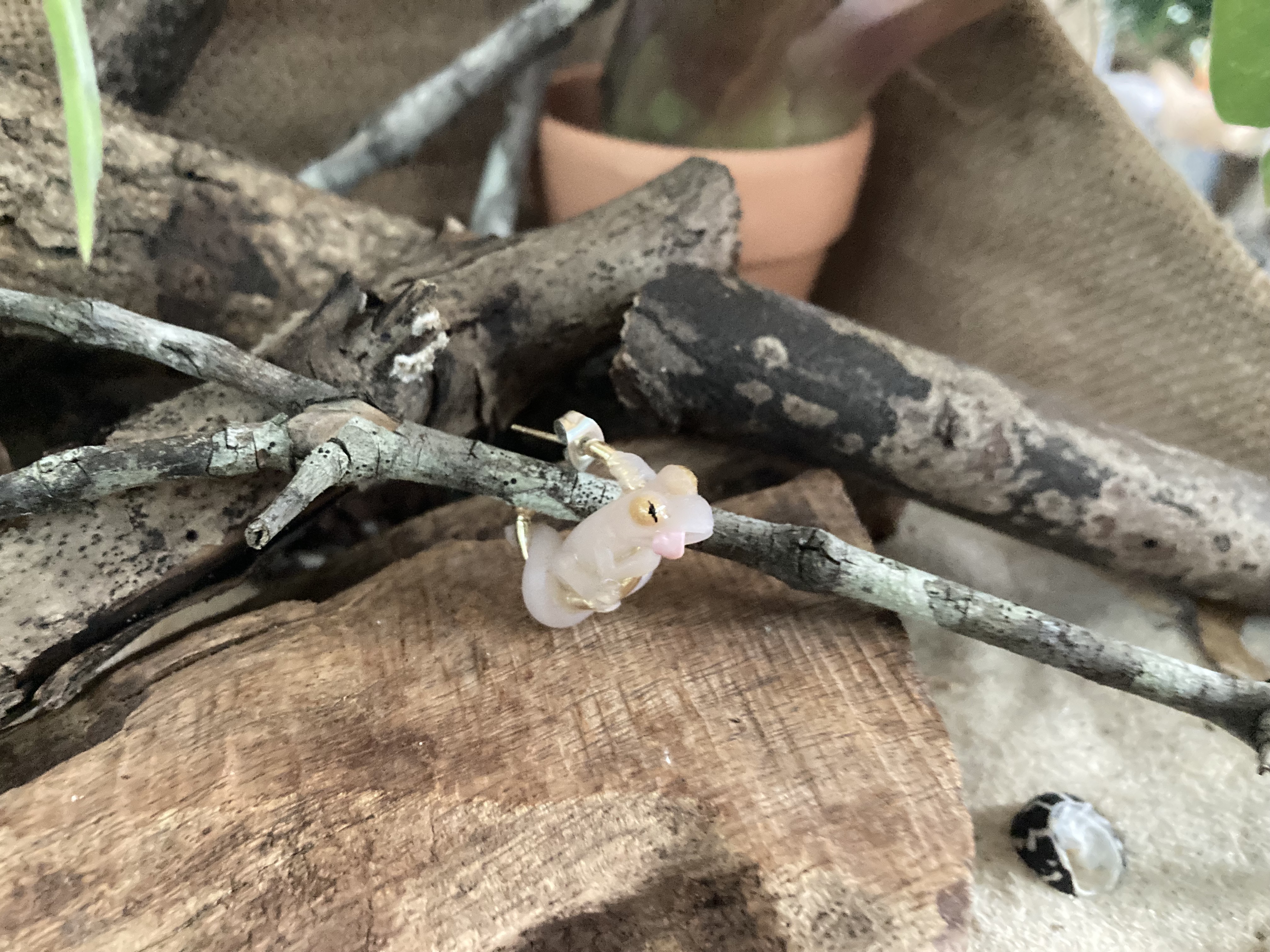 House Gecko Hoop Earring