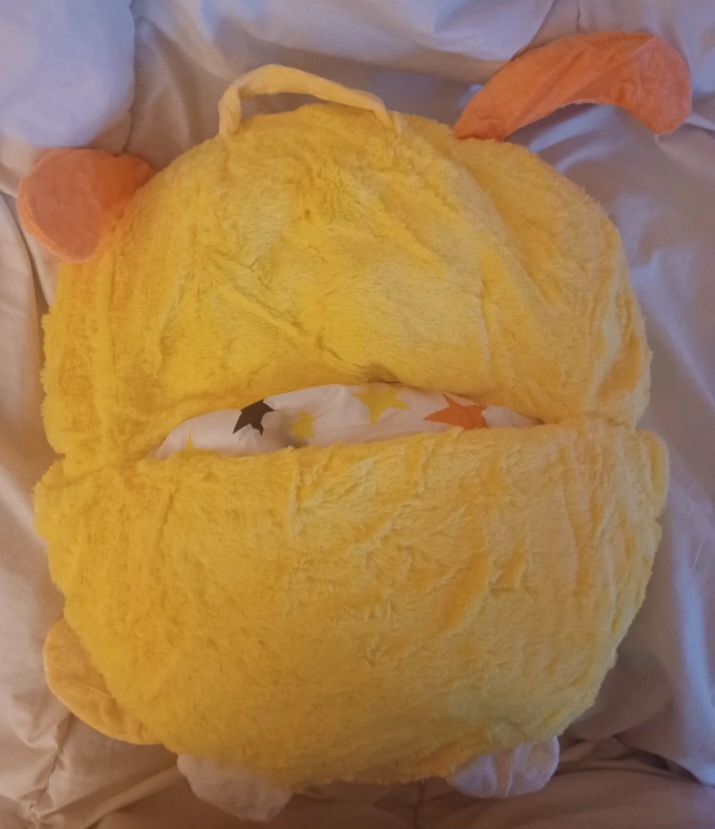 Sac de couchage chien ou chat  enfant