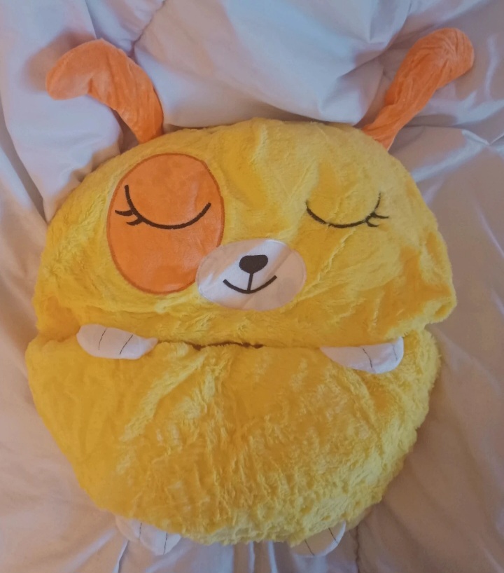 Sac de couchage chien ou chat  enfant