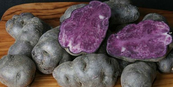 Patata Vitelotte