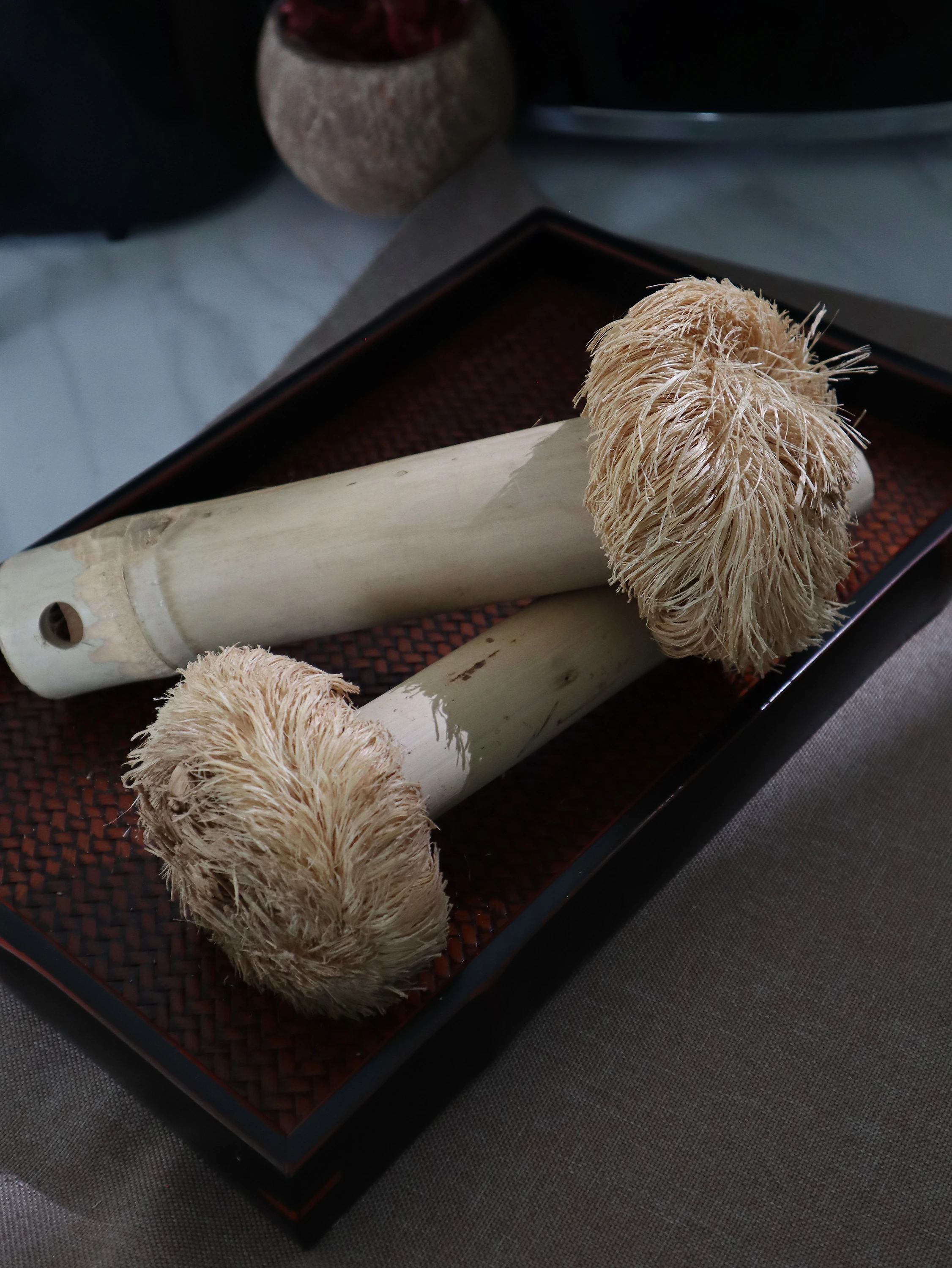 Méiose 100% Plant-Based Cleaning Kit