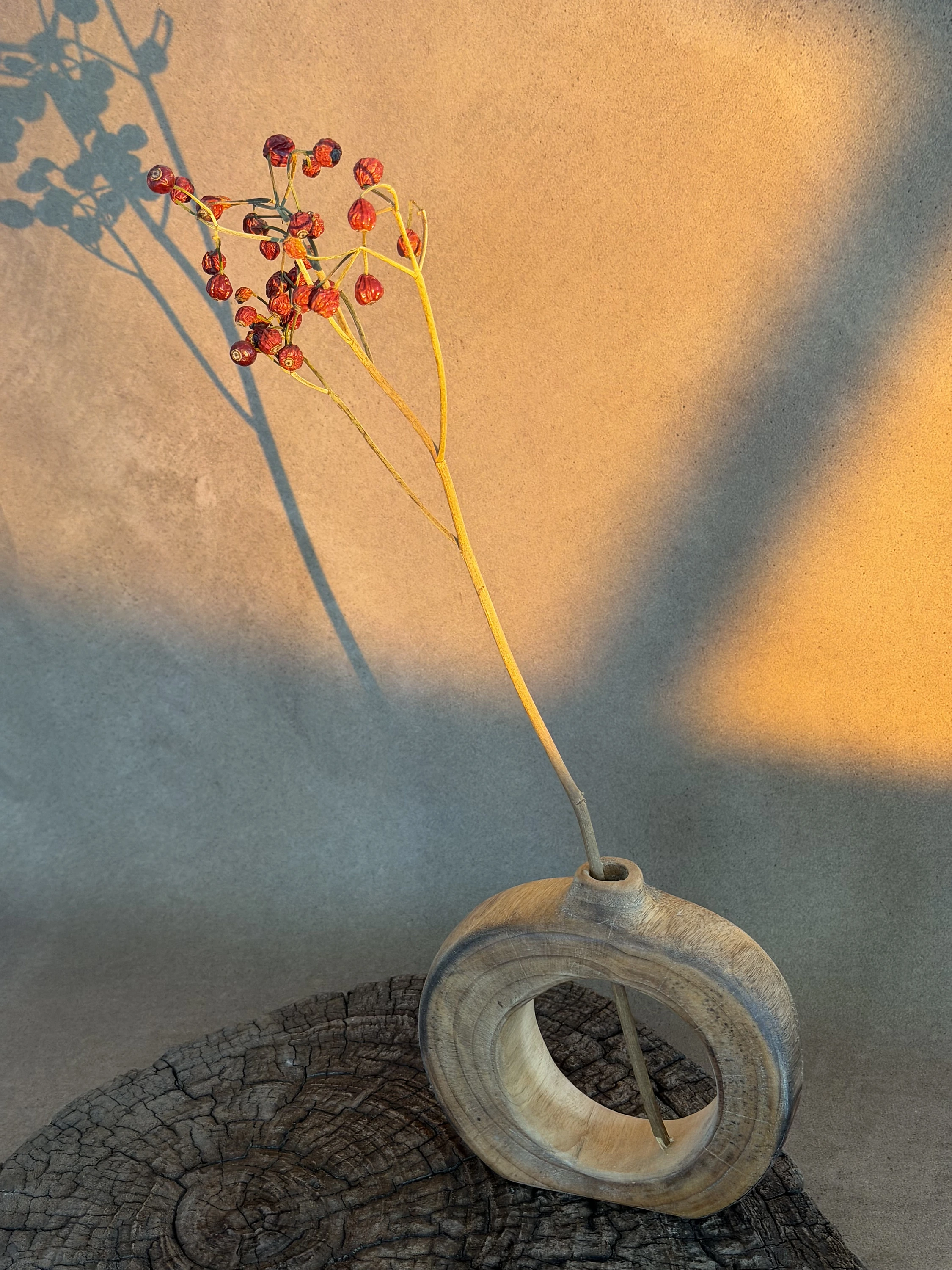 Circular Hollow Cedarwood Vase