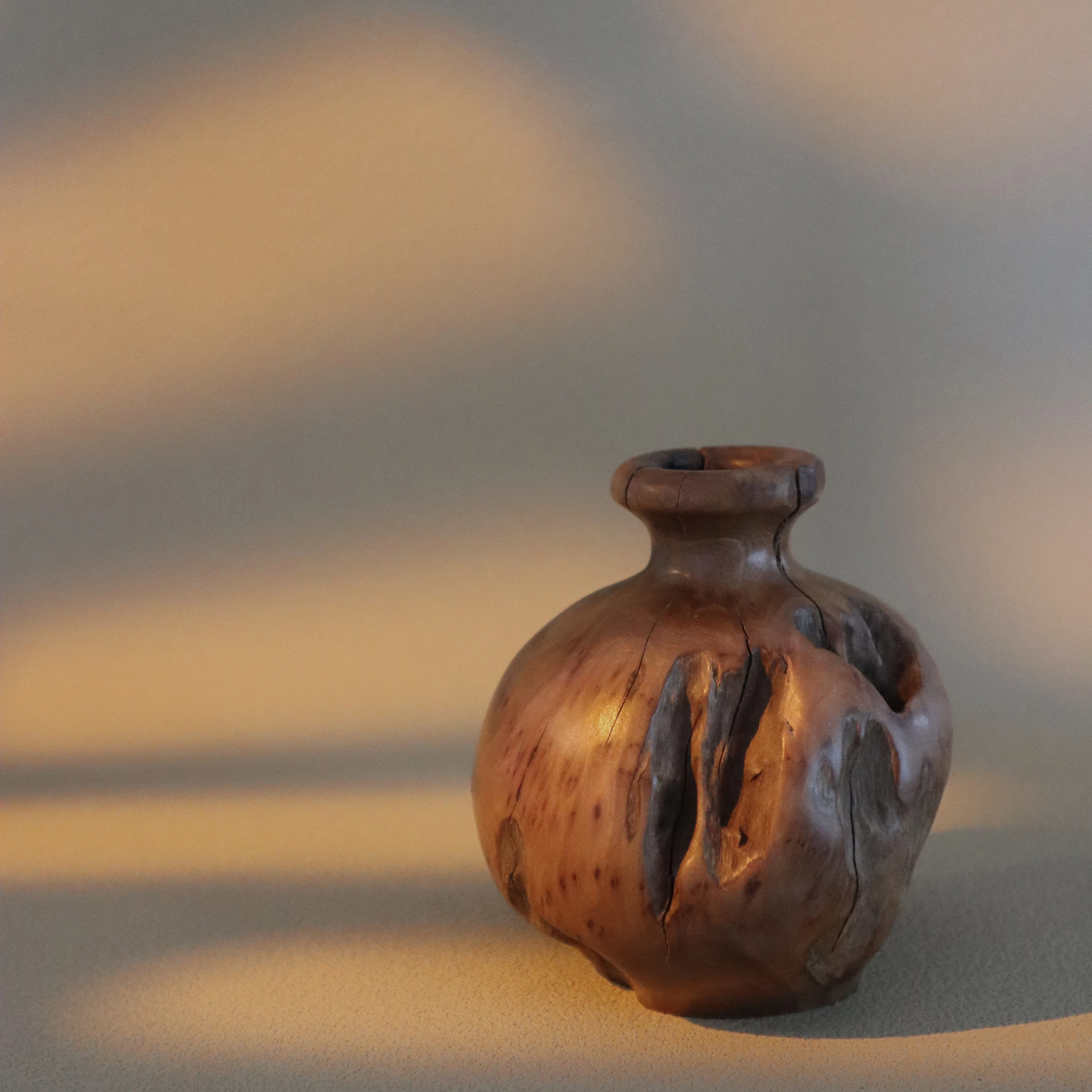 Erosion N°2 Weathered Wood Vase 