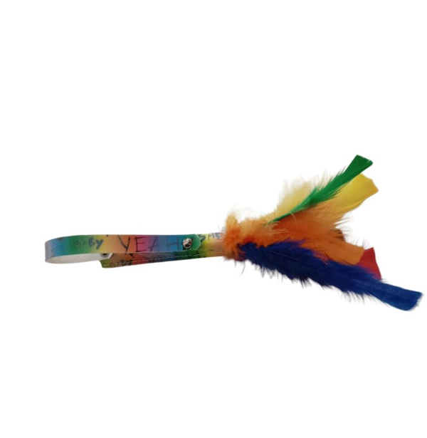 PLUMA LGBT