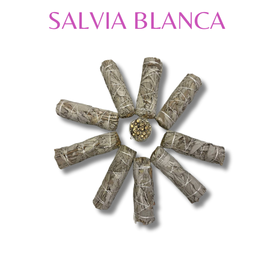 Salvia blanca