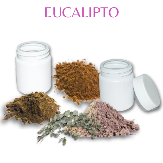 Eucalipto