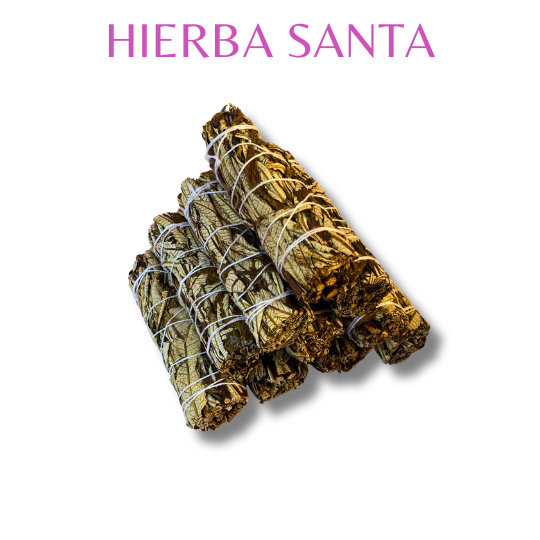 Hierba Santa