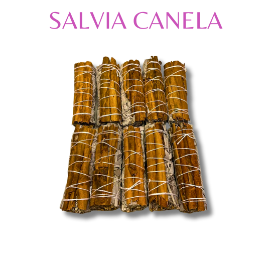 Salvia Canela