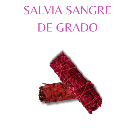 Salvia Sangre de Grado