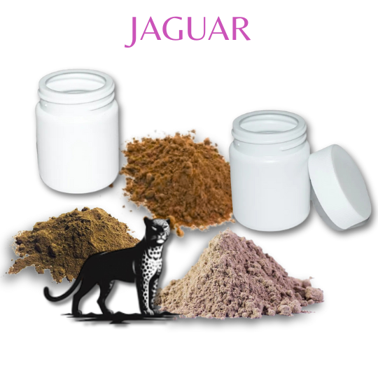 Jaguar