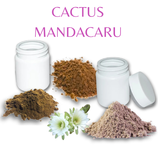 Cactus Mandacaru