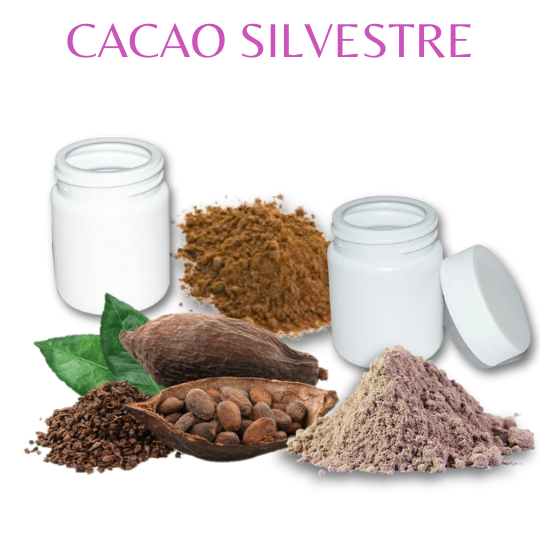 Cacao Silvestre