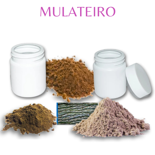 Mulateiro