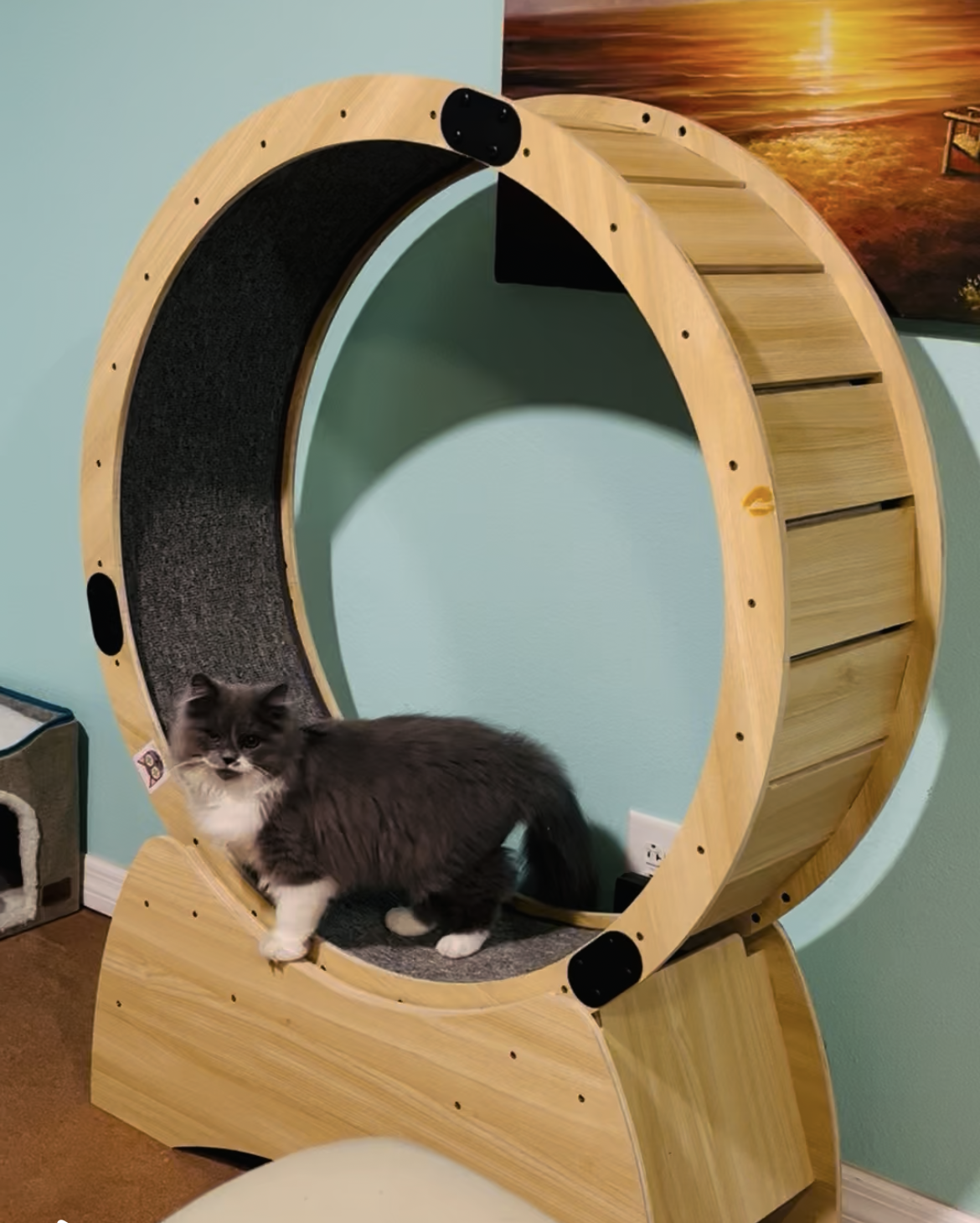 Wooden Cat Exercise Wheel